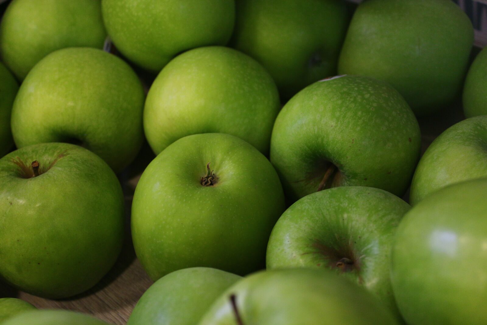 Canon EOS 650D (EOS Rebel T4i / EOS Kiss X6i) sample photo. Apples, fruit, green photography