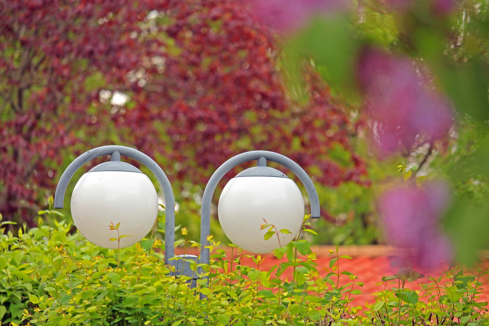 Canon EF-S 55-250mm F4-5.6 IS STM sample photo. Street lighting, street light photography