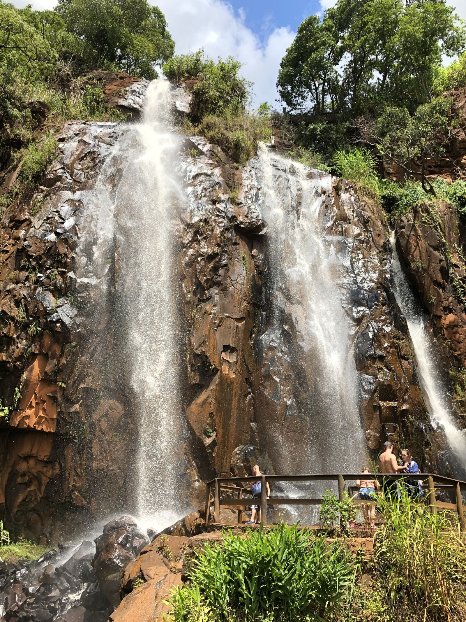 Apple iPhone 8 sample photo. Waterfalls park, buds, waterfall photography