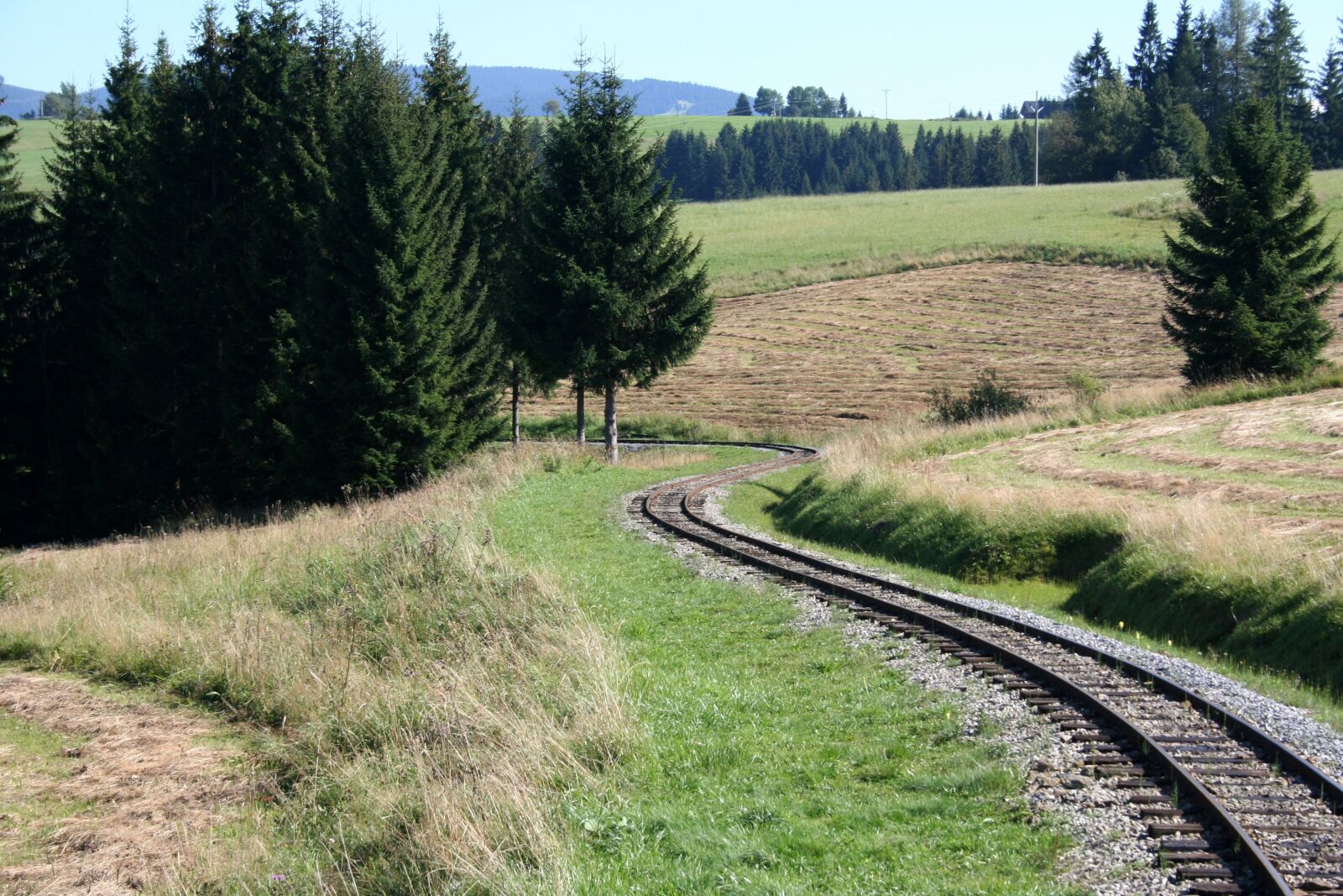 Canon EOS 350D (EOS Digital Rebel XT / EOS Kiss Digital N) sample photo. Railway, nature, rails photography