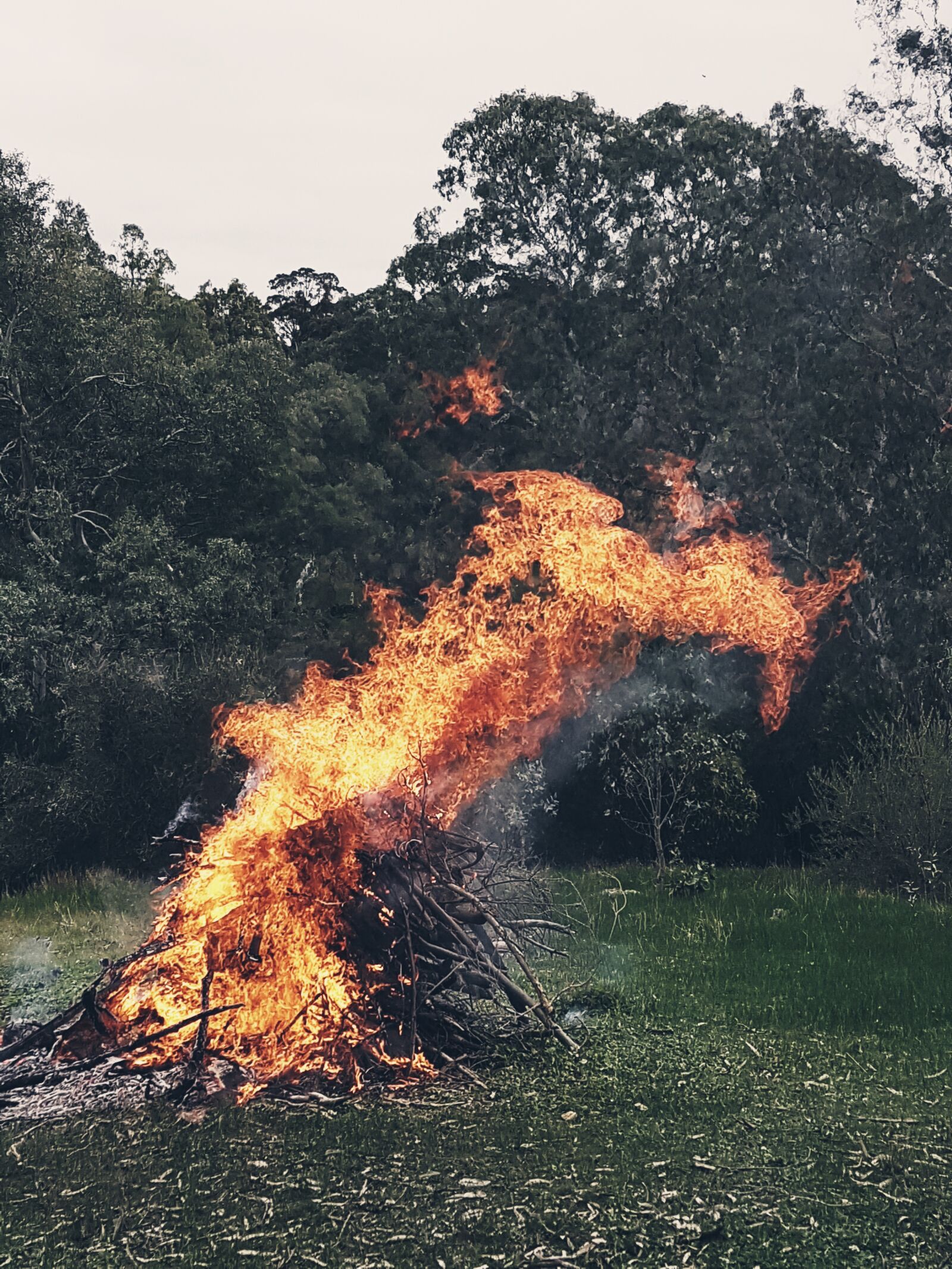 Samsung Galaxy S7 sample photo. Bonfire, fire, flame photography