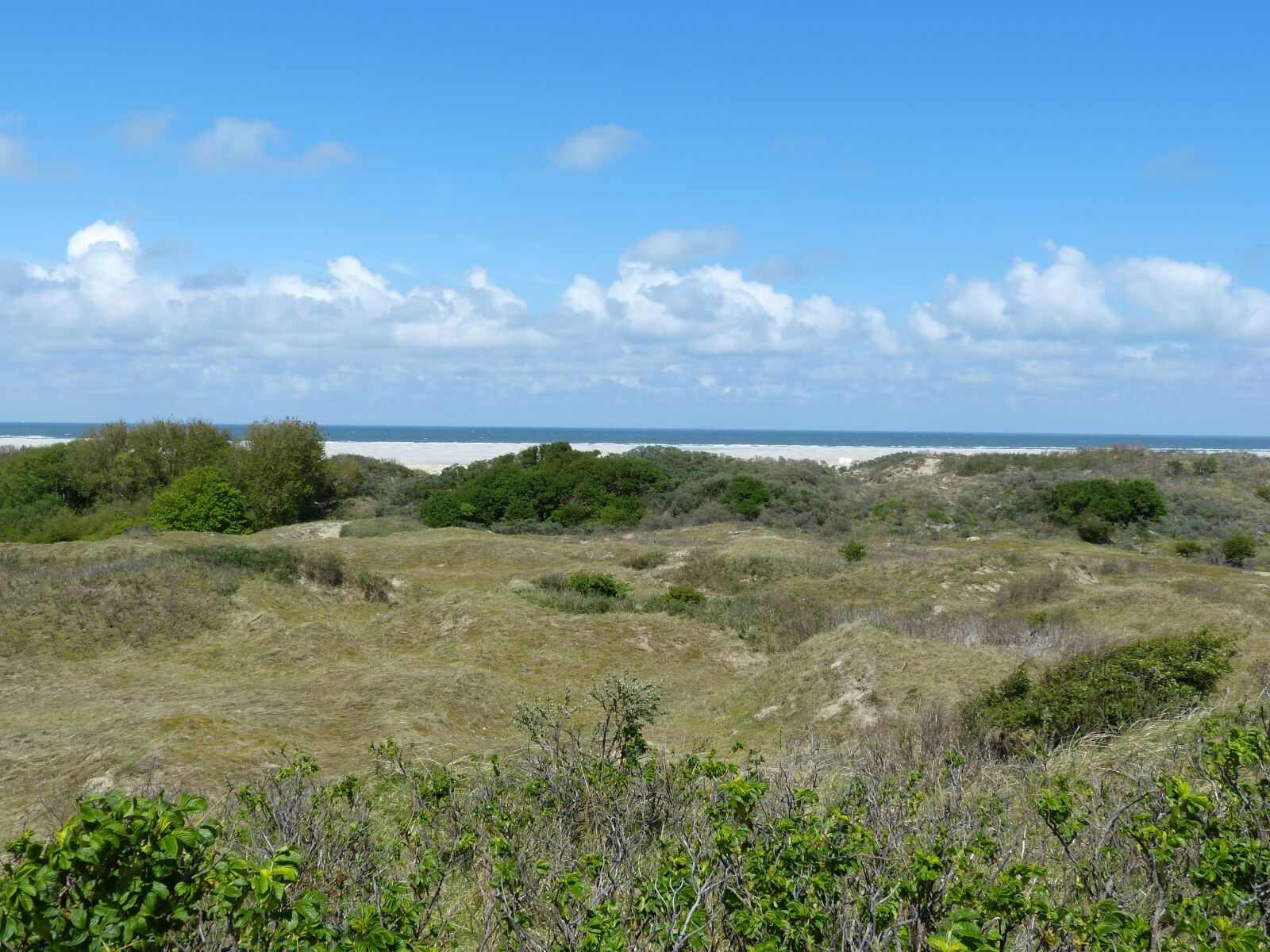 Panasonic Lumix DMC-FZ150 sample photo. Dunes, borkum, north sea photography