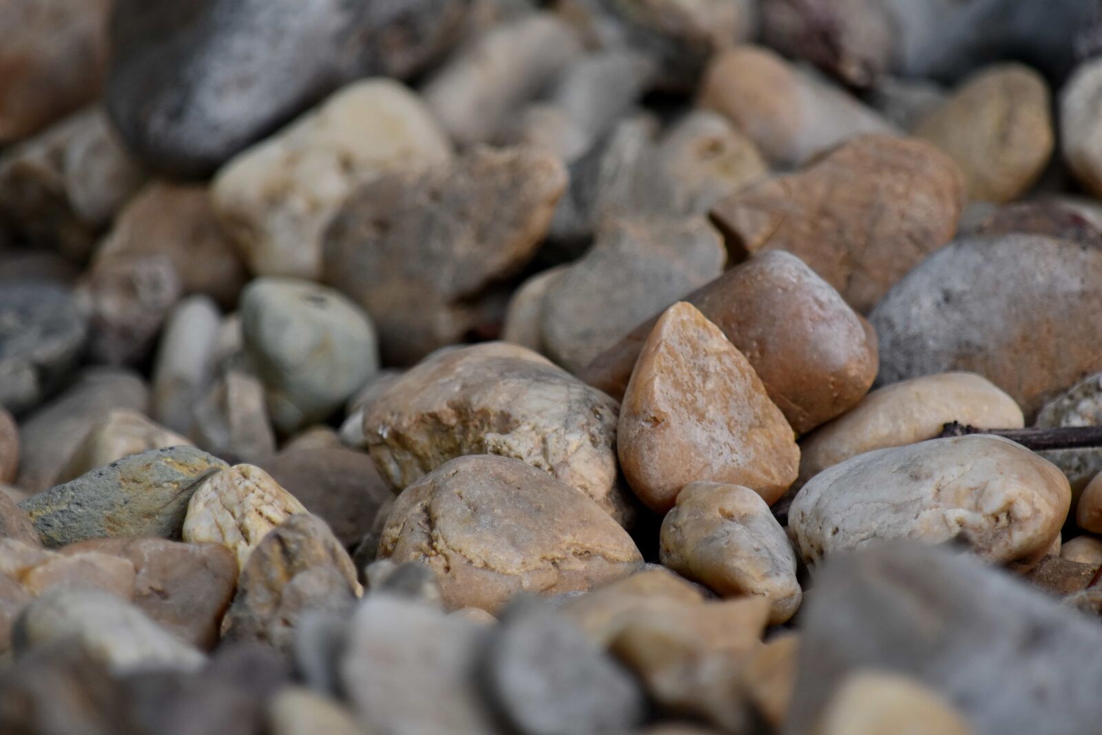 Nikon D5500 sample photo. Nature, stone, rock, gravel photography