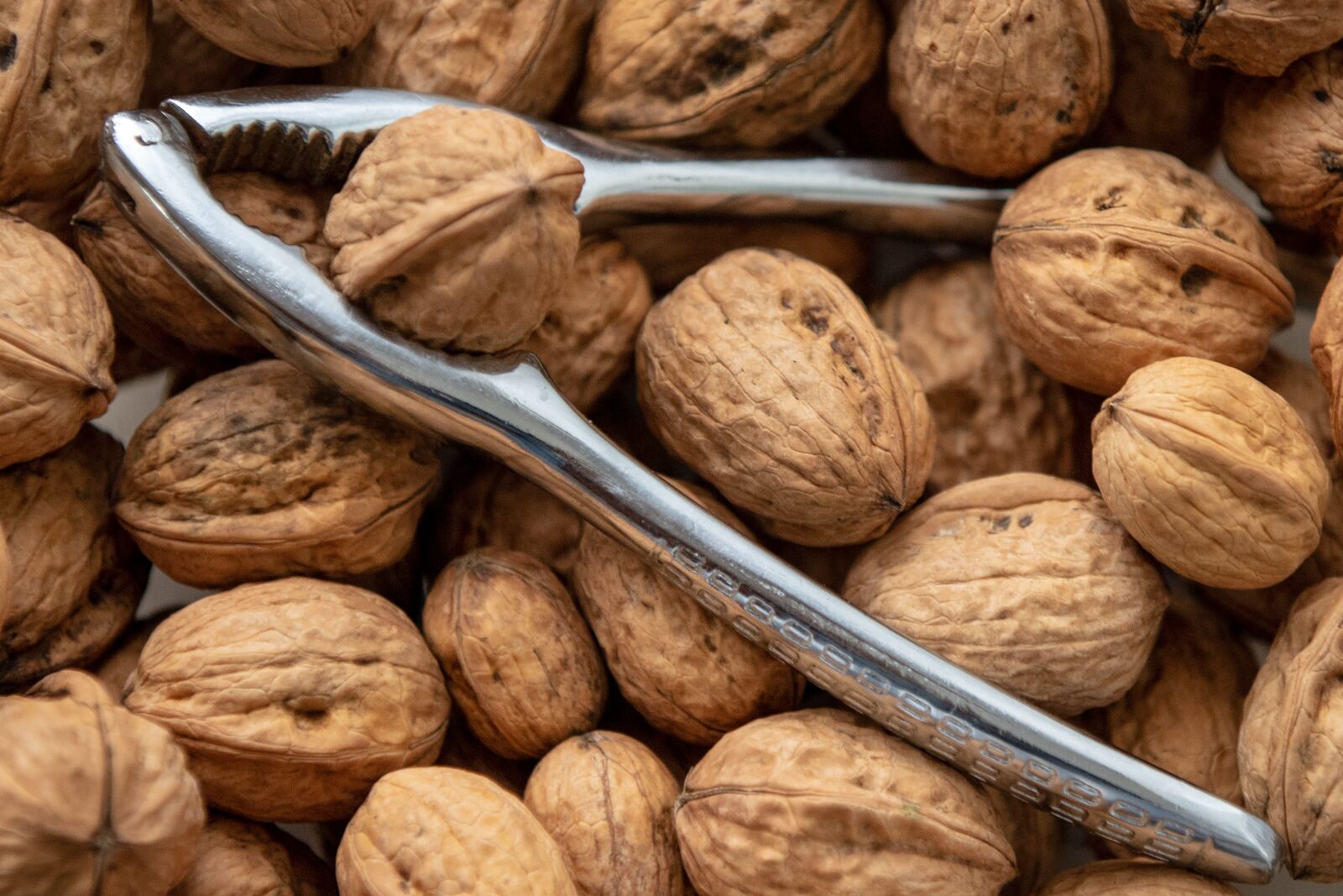 Canon EOS 6D Mark II sample photo. Nutcracker, nuts, walnut photography