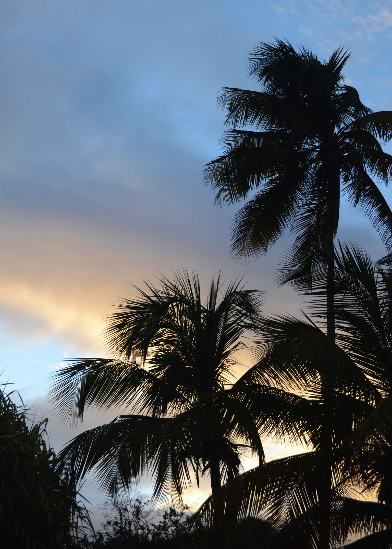 Nikon D7000 sample photo. Caribbean, sky, sunset, tropic photography