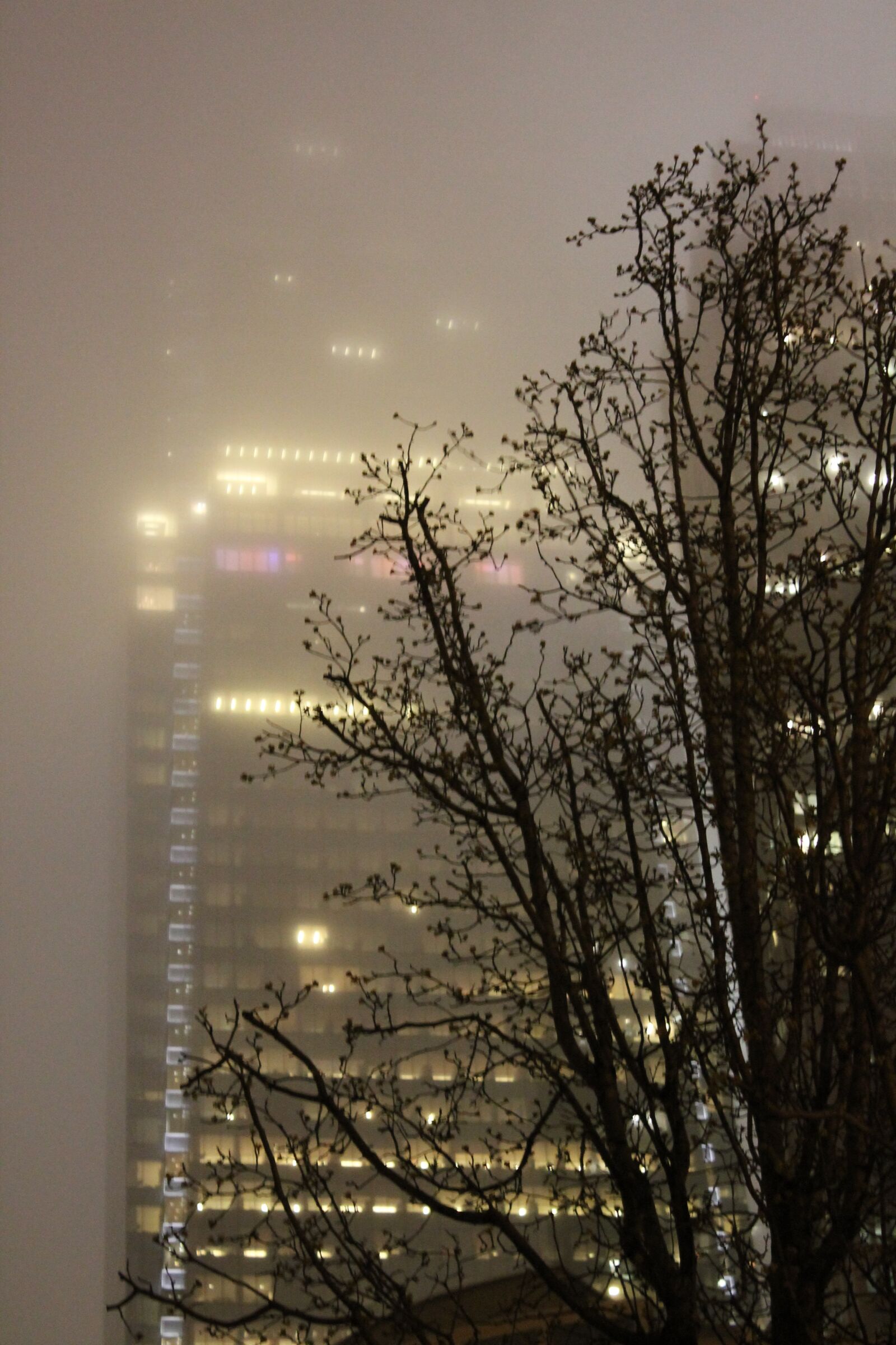 Canon EOS 1100D (EOS Rebel T3 / EOS Kiss X50) sample photo. Fog, night, architecture photography