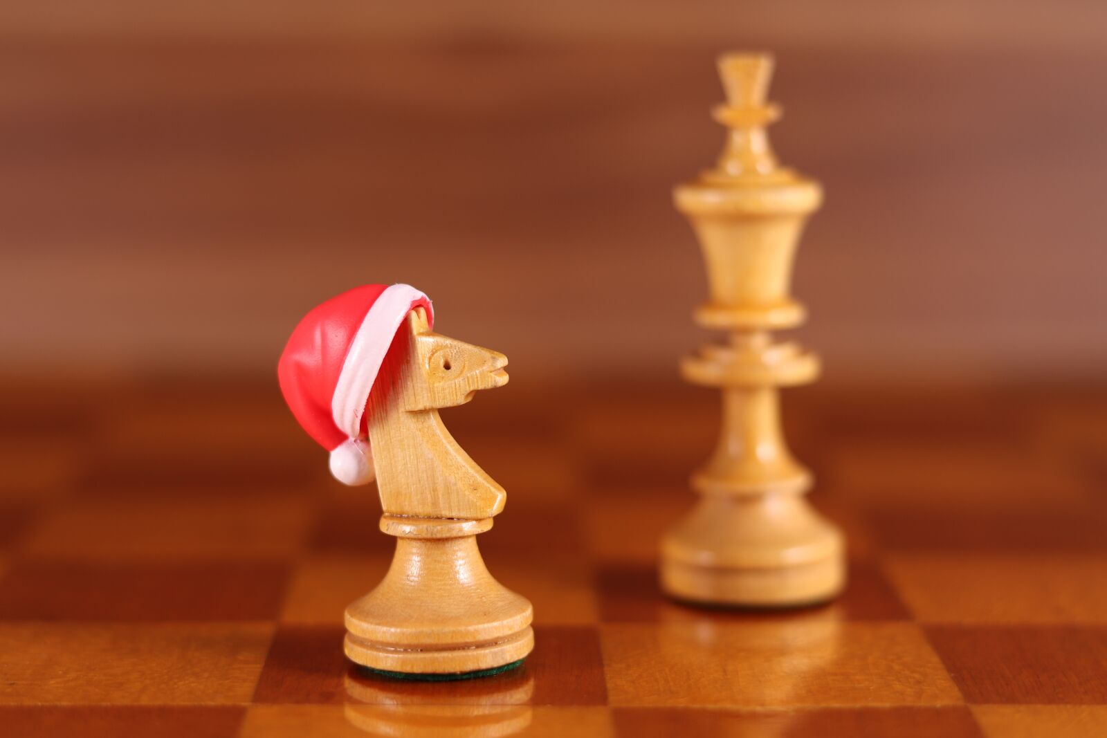 Canon EOS 800D (EOS Rebel T7i / EOS Kiss X9i) sample photo. Horse, santa hat, chess photography