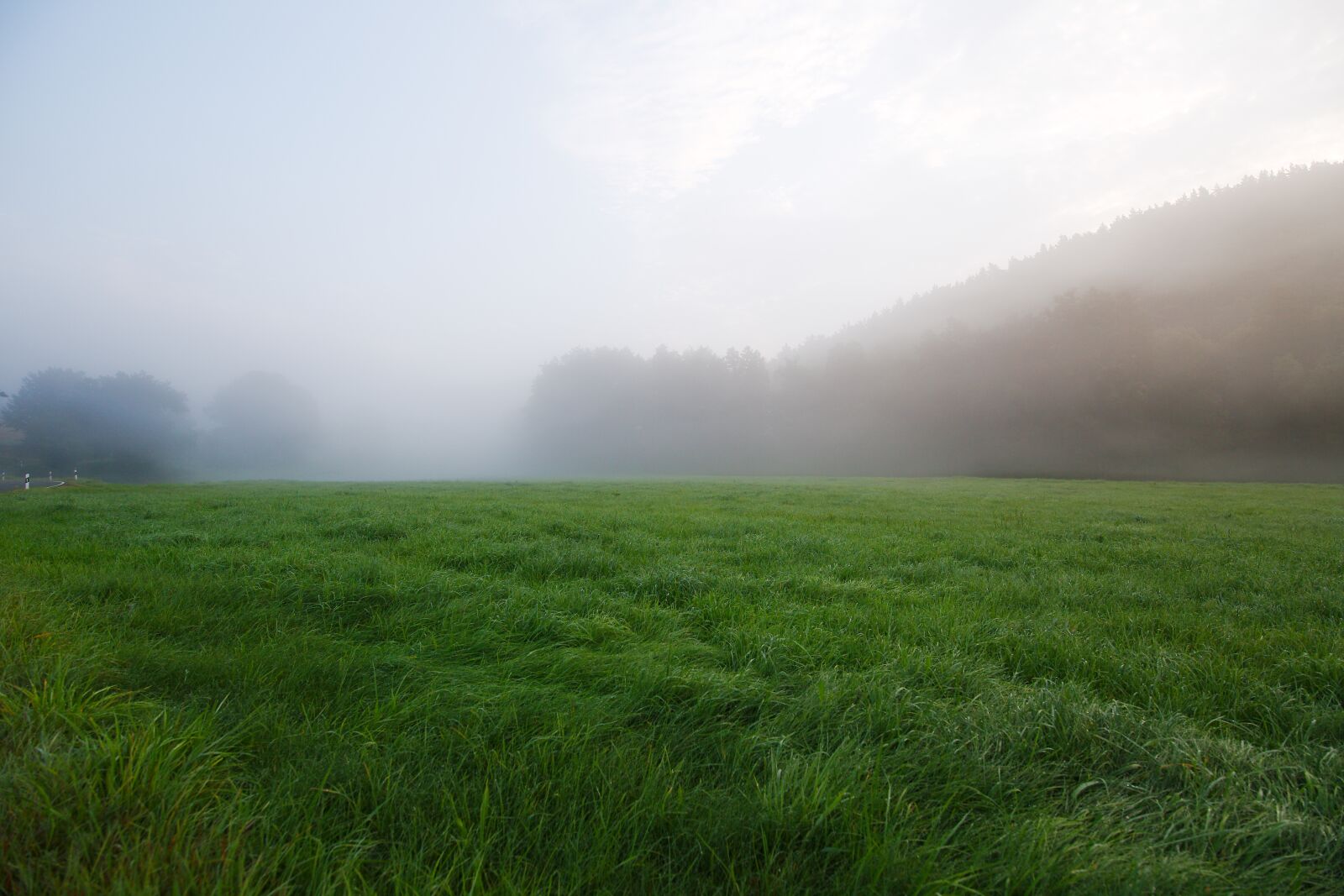 Canon EOS 6D sample photo. Grass, field, landscape photography