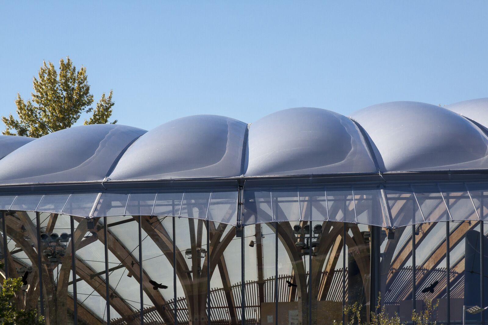 Canon EOS 50D sample photo. Roof, modern, congress hall photography