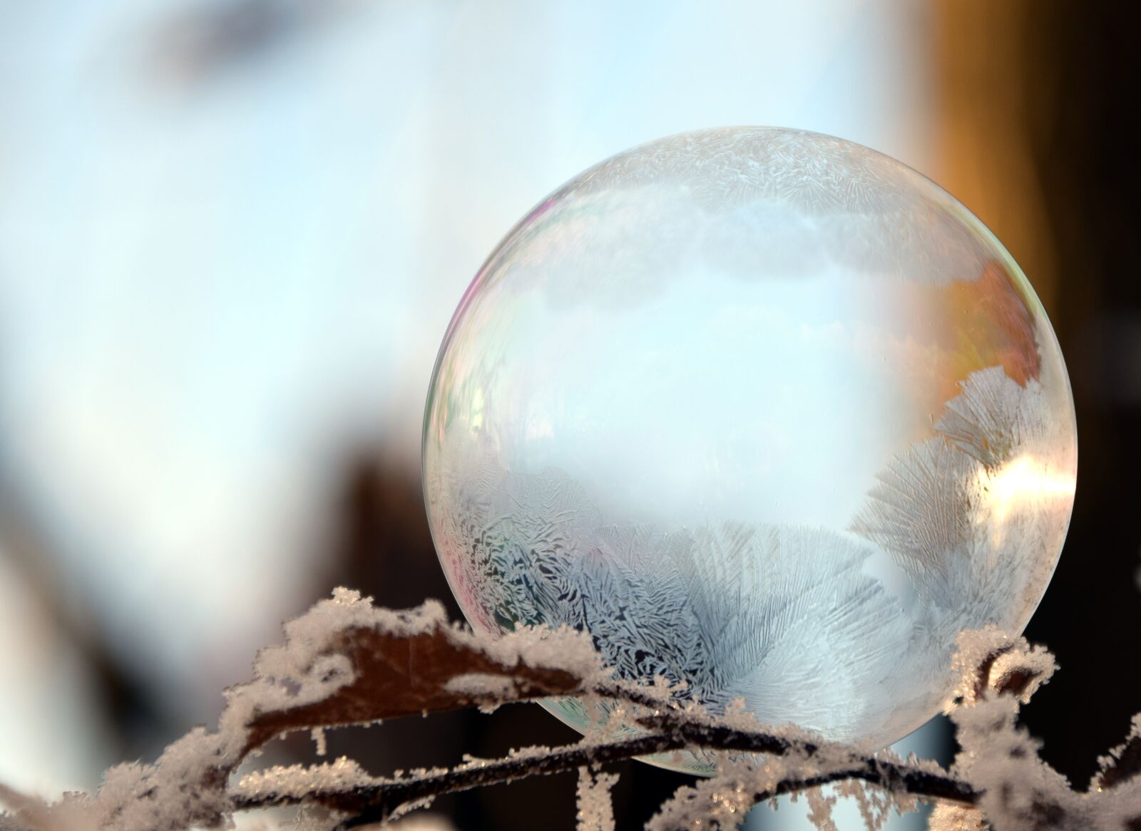 Nikon D3300 sample photo. Bubble, soap bubble, balls photography