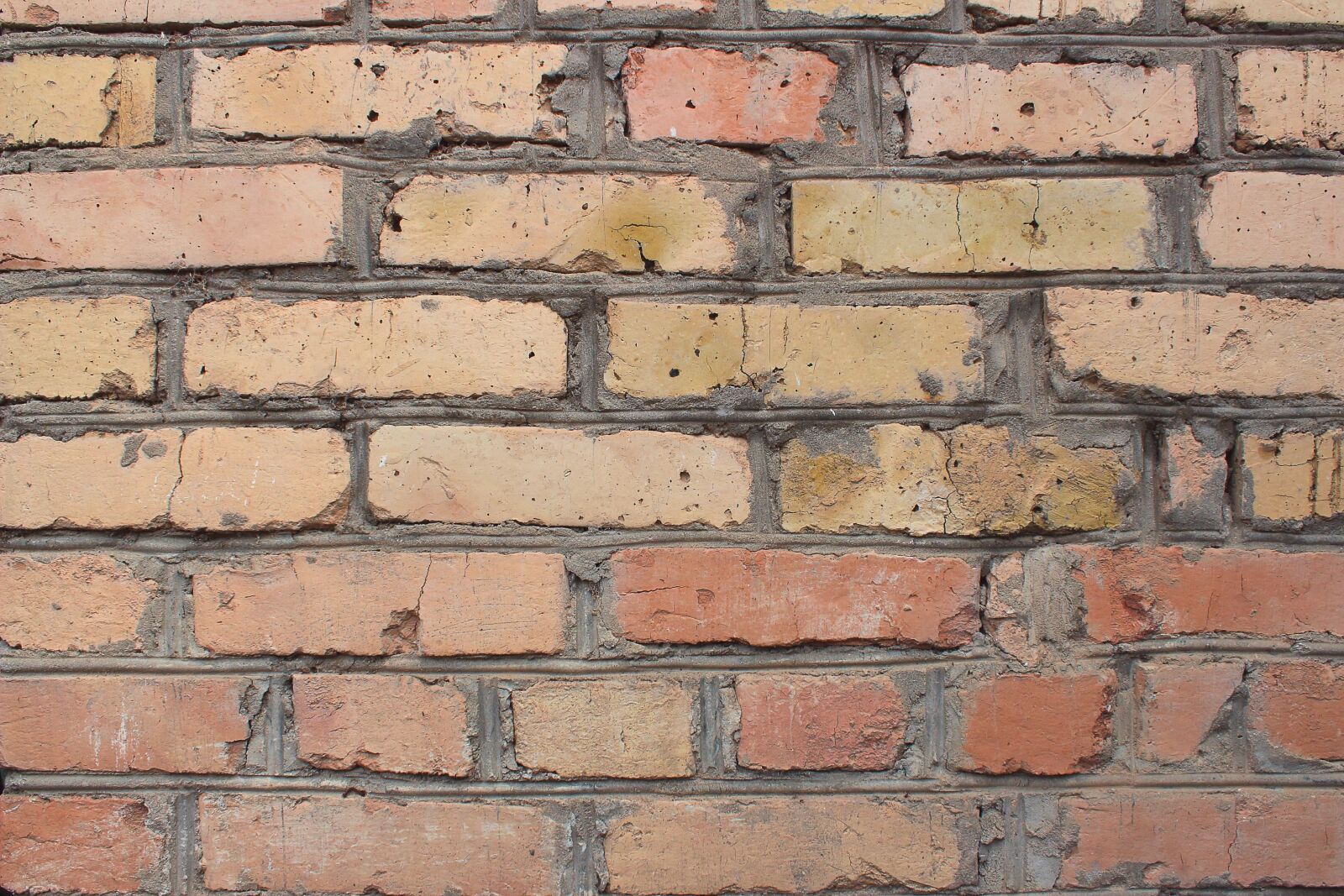 Canon EOS 650D (EOS Rebel T4i / EOS Kiss X6i) + Canon EF-S 18-55mm F3.5-5.6 III sample photo. Wall, brick, cement photography