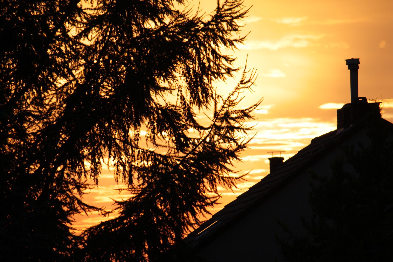Canon EOS 450D (EOS Rebel XSi / EOS Kiss X2) sample photo. Recklinghausen, abendstimmung, sun photography