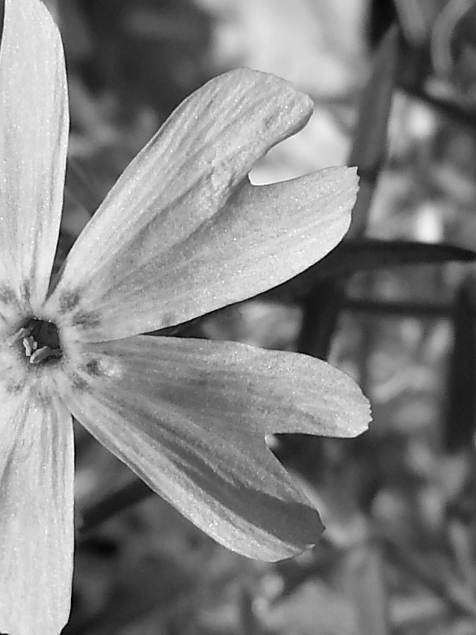 Samsung Galaxy S3 sample photo. Abstract, black, and, white photography