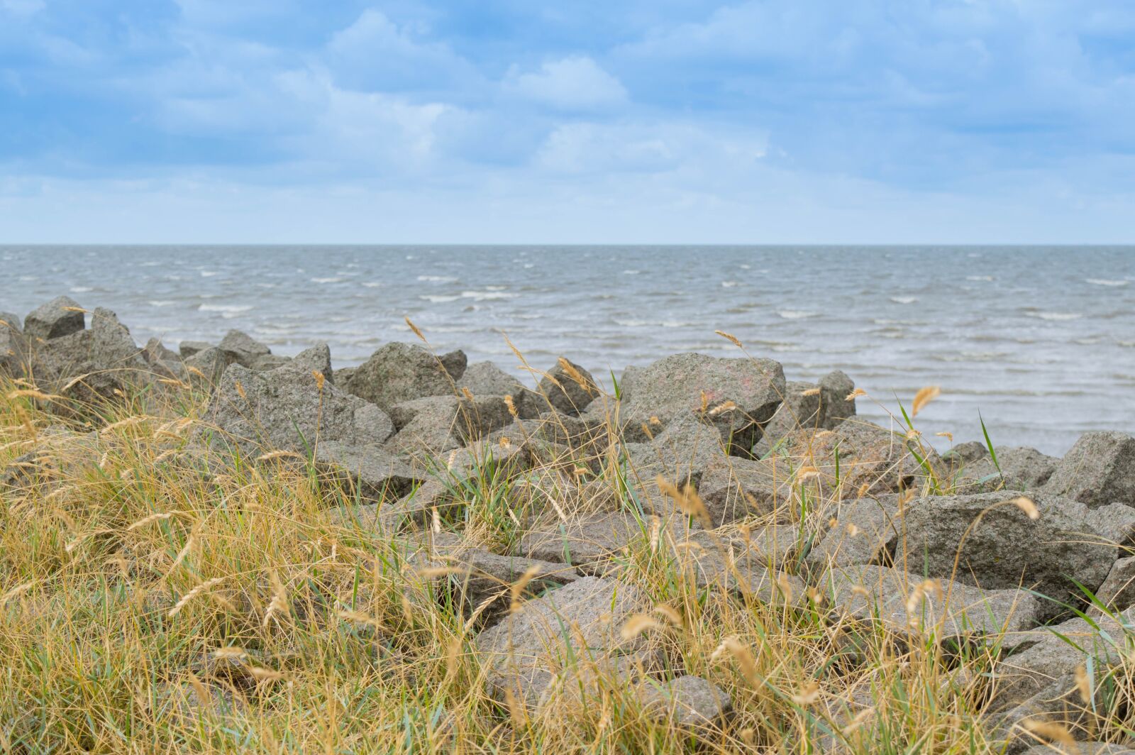 Nikon D3200 sample photo. Coast, stand, north sea photography