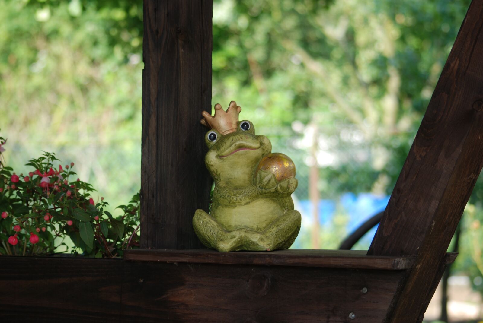 Nikon D80 sample photo. Wood, frog, nature fun photography