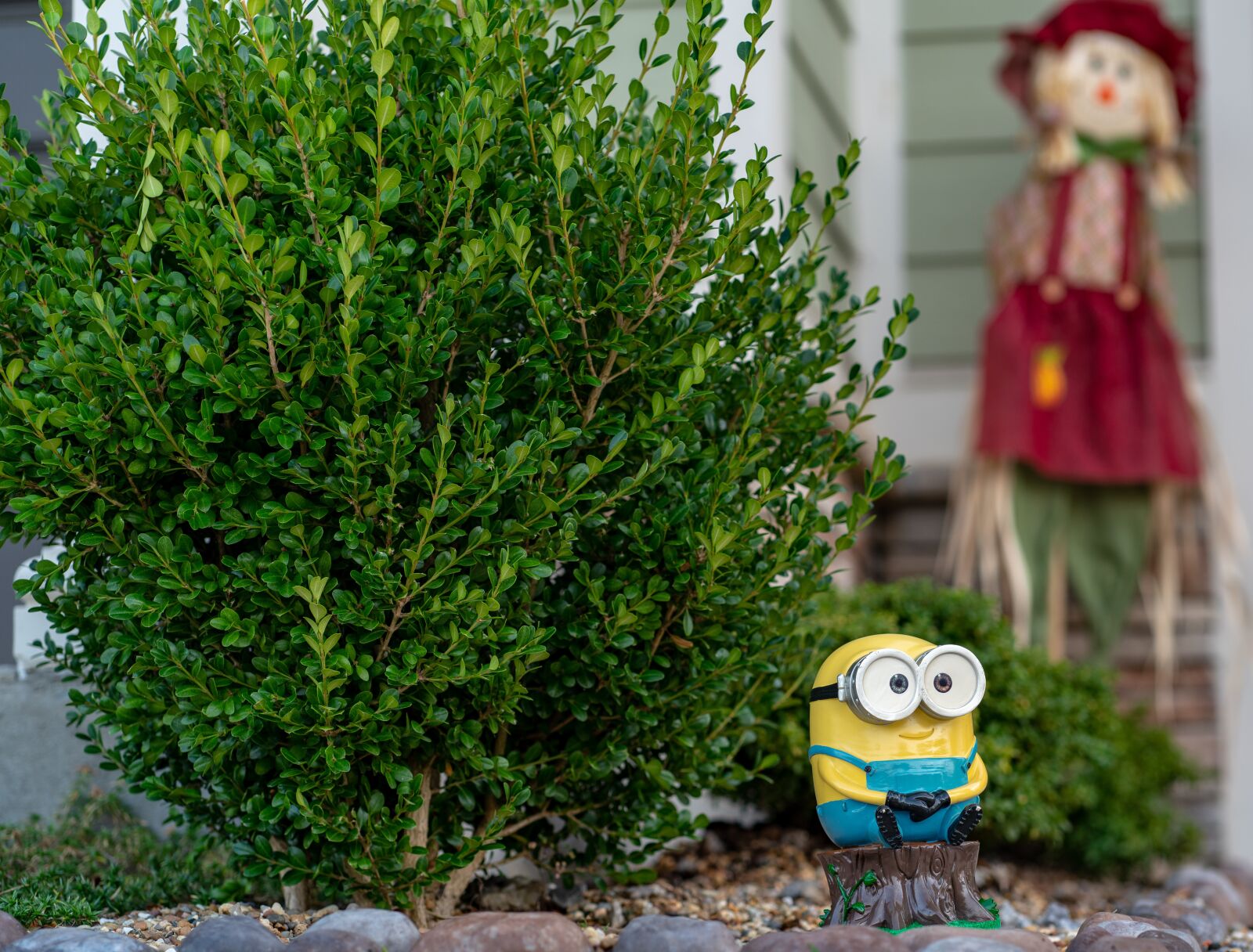 Sony a7R III sample photo. Garden, fall, shrub photography