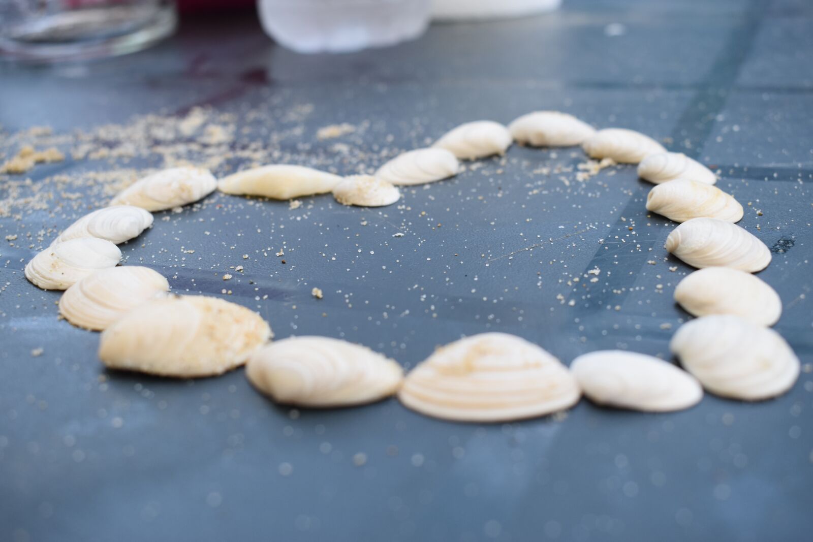 Nikon D5500 sample photo. Heart, shell, love photography