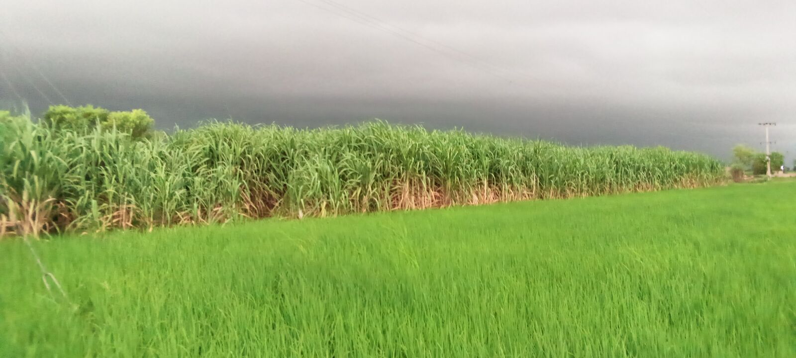 INFINIX MOBILITY LIMITED Infinix X653C sample photo. Natural, wallpaper, scenery photography