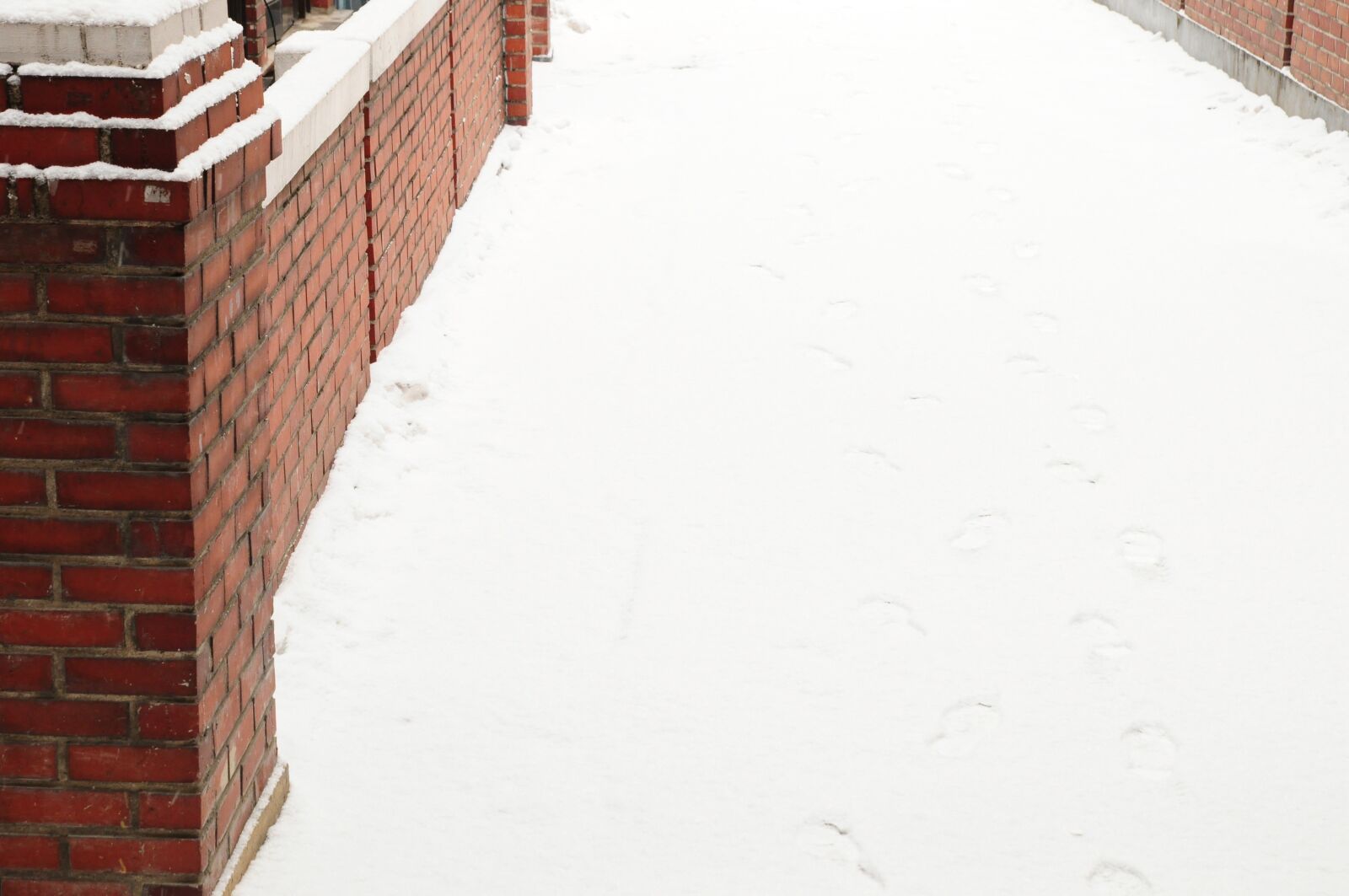 Nikon D90 sample photo. Snow, footprint, gil photography