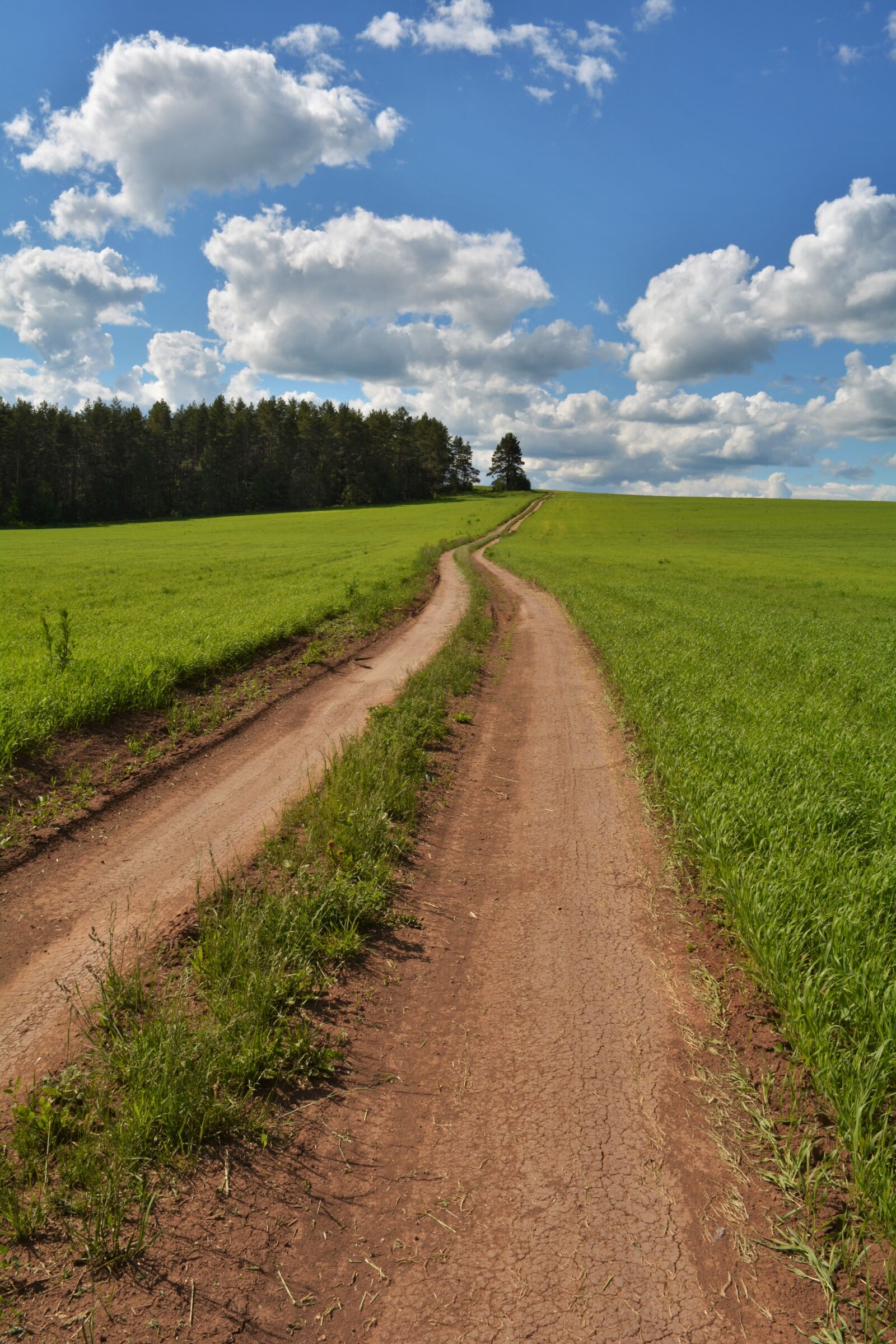 Nikon D5200 sample photo. Road, landscape, clouds photography