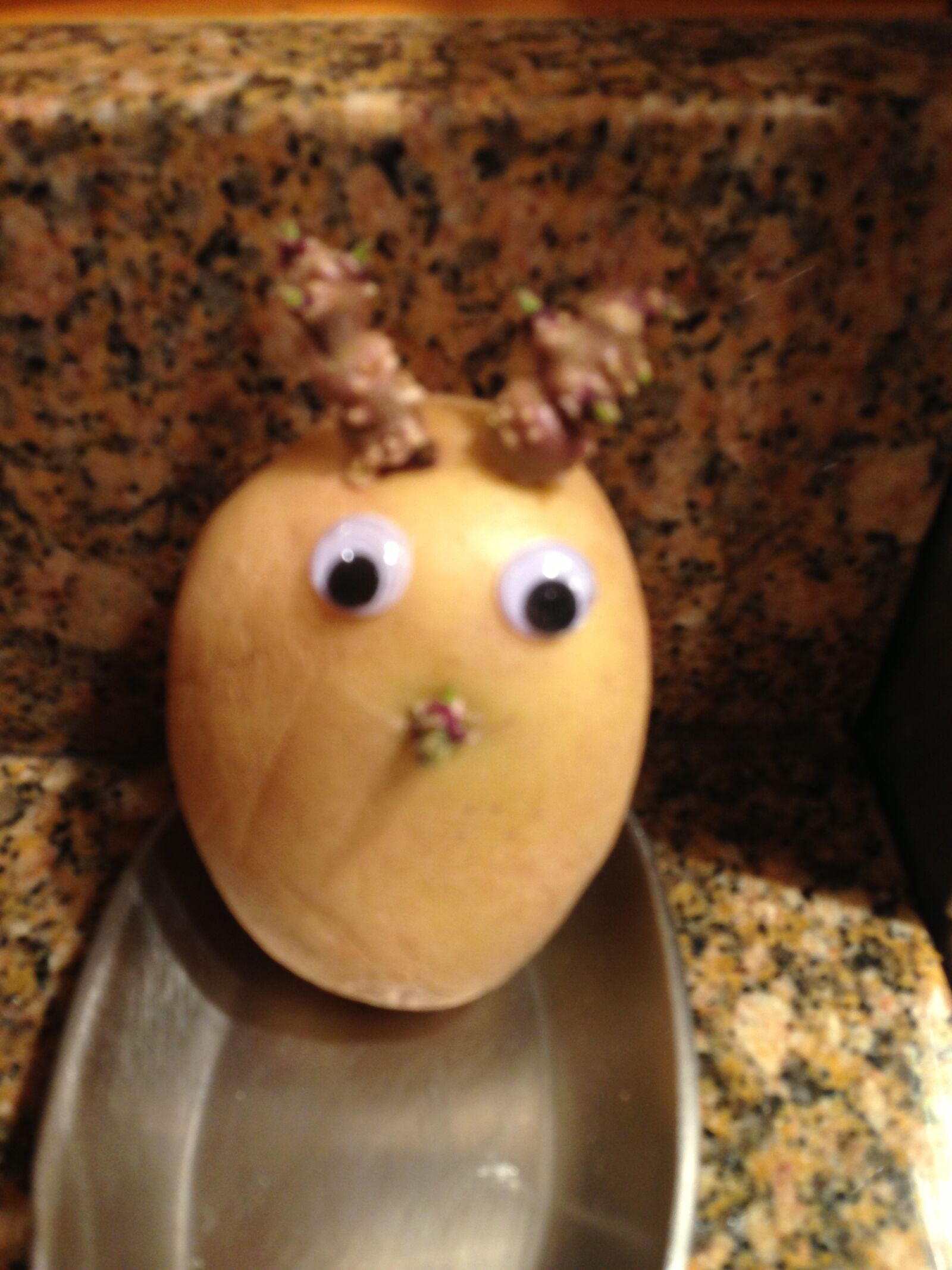 Apple iPhone 5 sample photo. Funny, food, kids photography