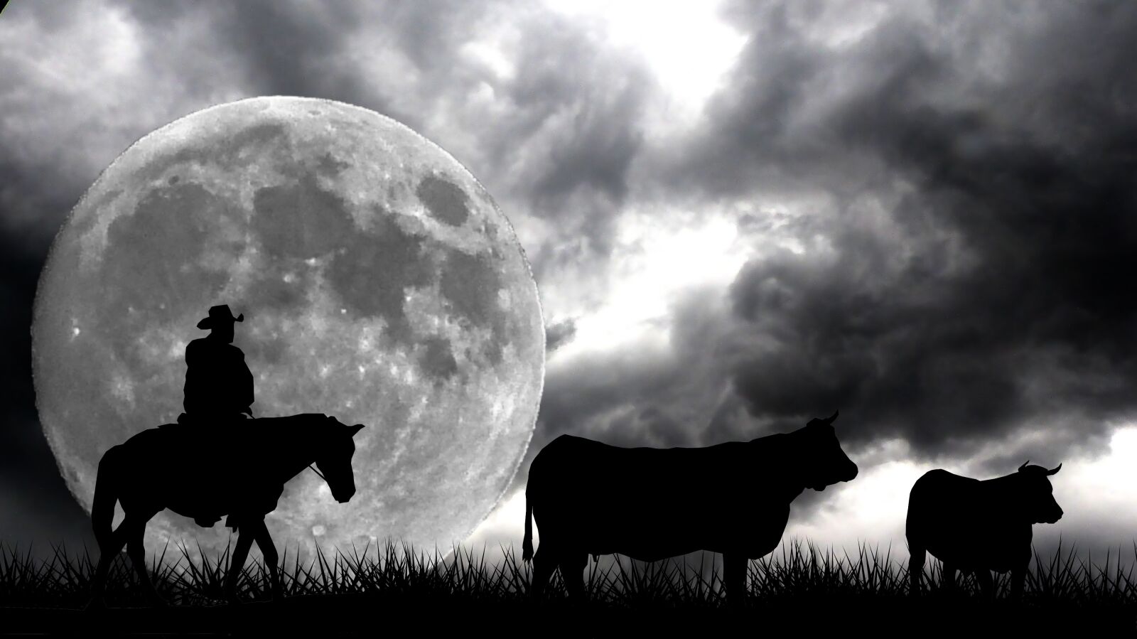 Panasonic Lumix DMC-FZ200 sample photo. Full moon, western, night photography