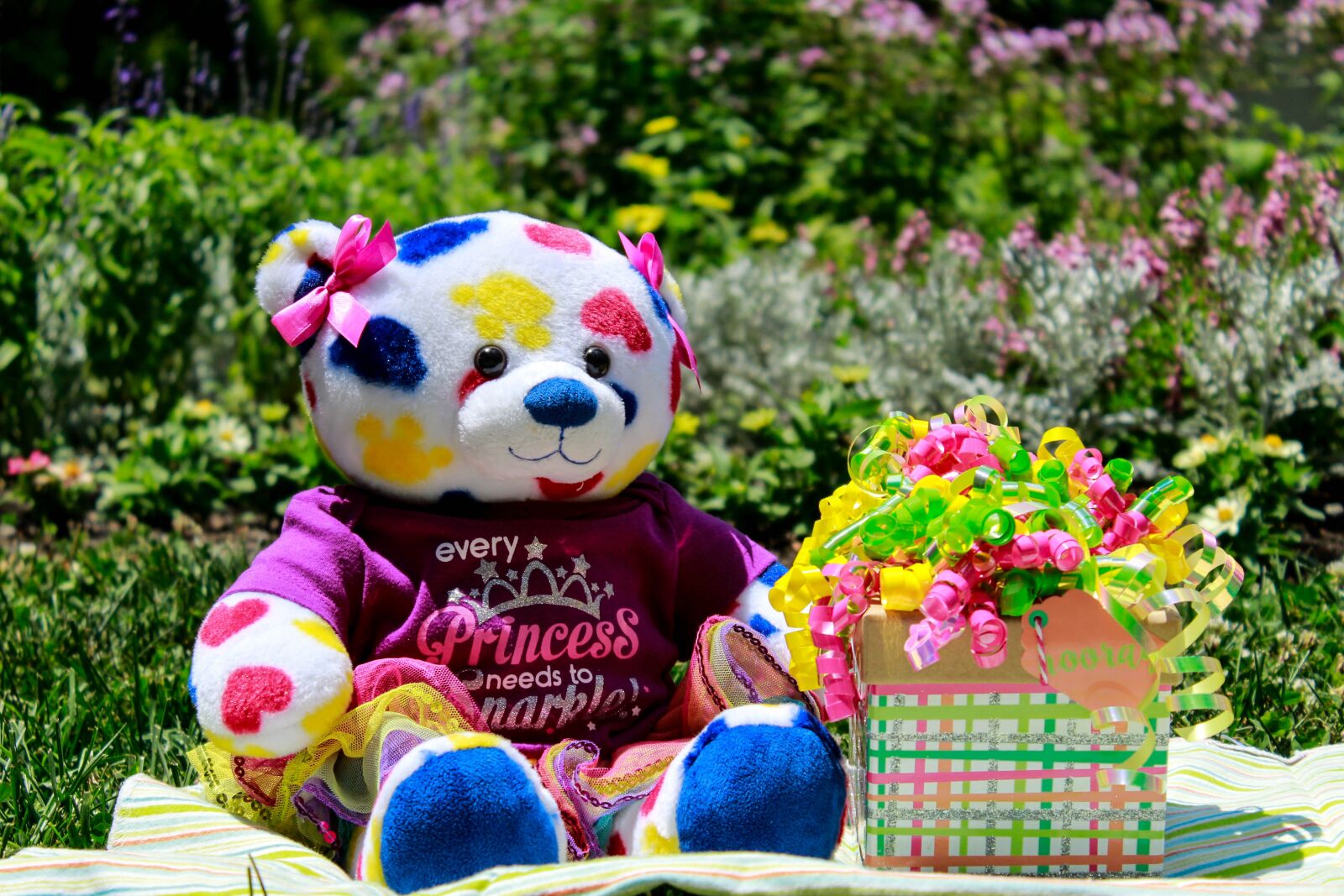 Canon EOS 1300D (EOS Rebel T6 / EOS Kiss X80) sample photo. Nature background, bear, birthday photography