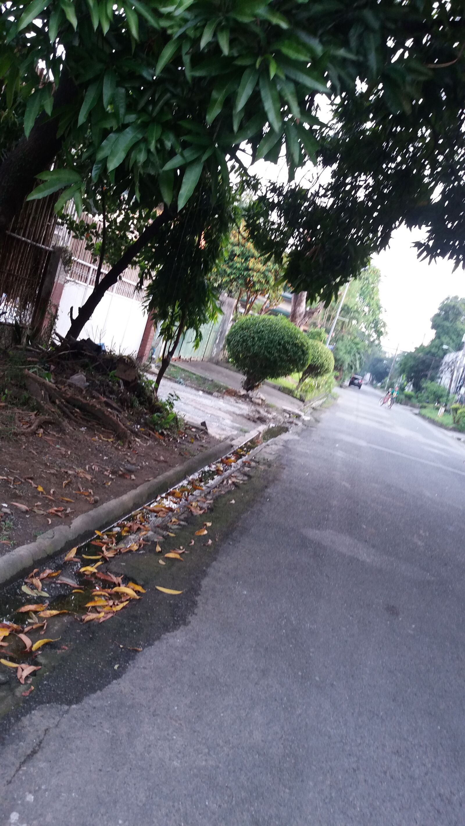 Samsung Galaxy J5 sample photo. Path, way, view photography