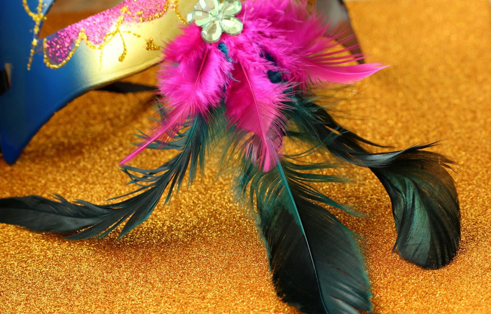 Canon EOS 1200D (EOS Rebel T5 / EOS Kiss X70 / EOS Hi) sample photo. Pen, mask, carnival photography