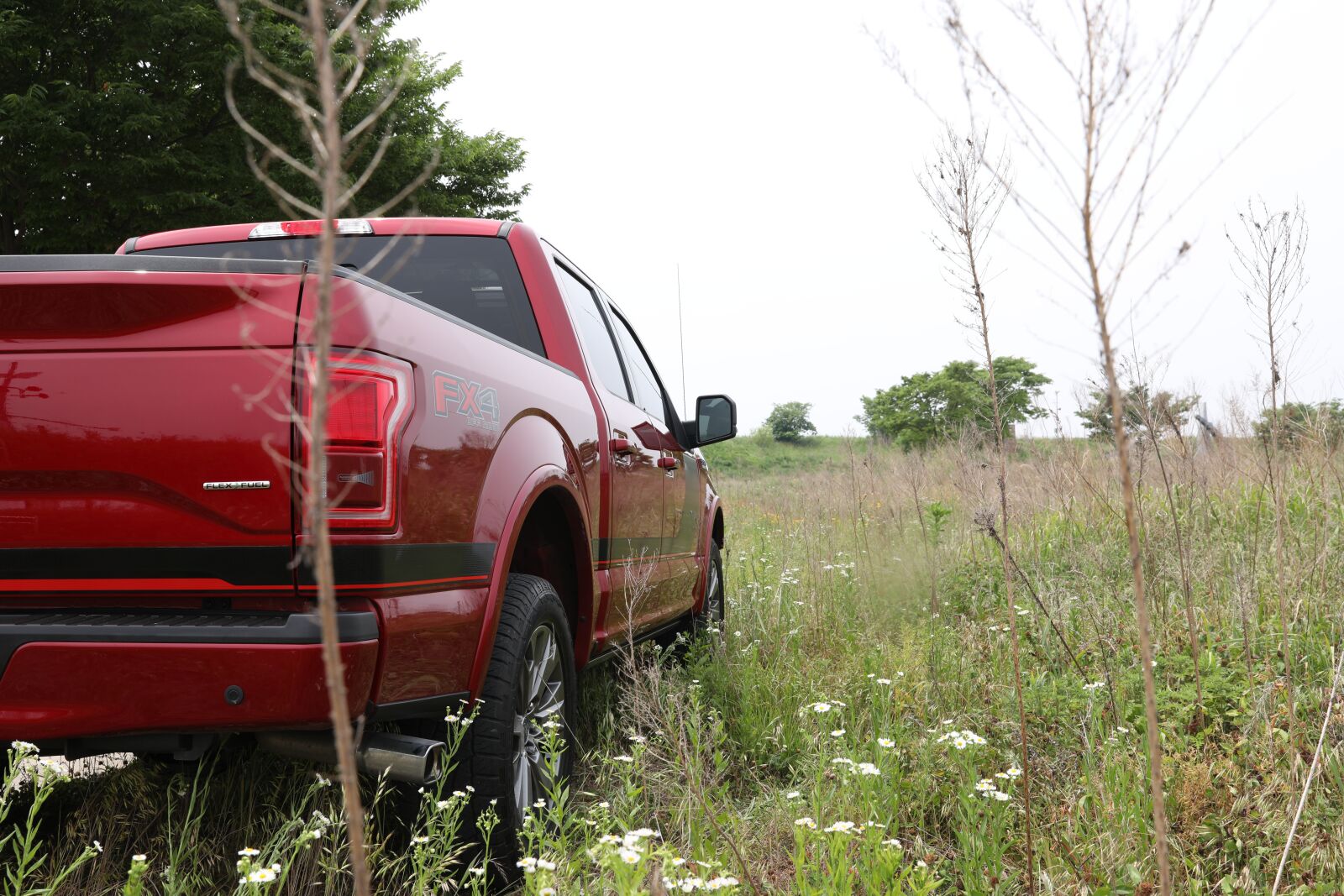 Canon EOS 5D Mark IV sample photo. F150, pickup, f-150 photography