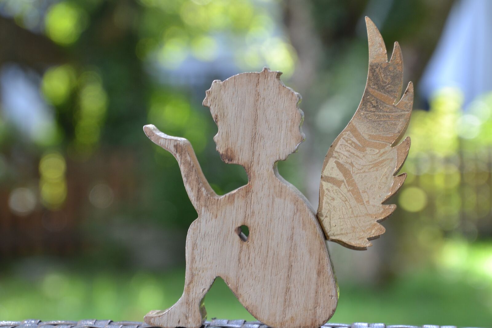 Nikon D3100 sample photo. Angel, wing, love photography