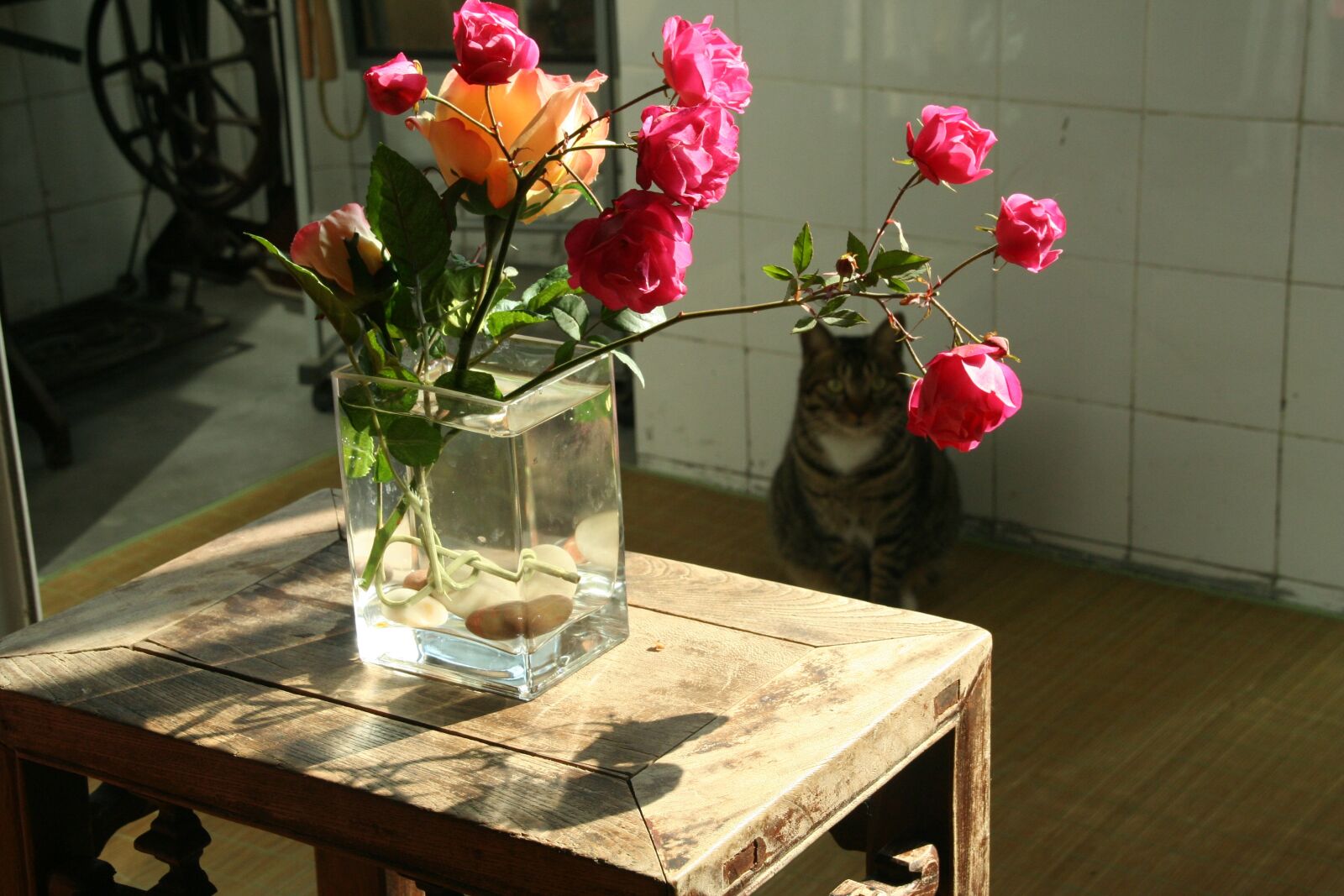 Canon EOS 350D (EOS Digital Rebel XT / EOS Kiss Digital N) sample photo. Flower arrangement, red flowers photography