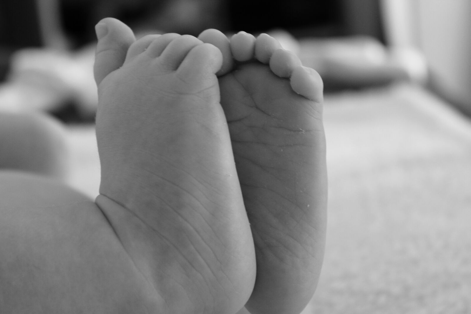 Canon EOS 550D (EOS Rebel T2i / EOS Kiss X4) sample photo. Baby, feet, newborn photography