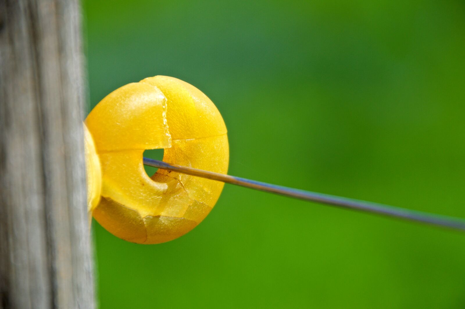 Nikon D3200 sample photo. Insulator, fixing, pasture fence photography