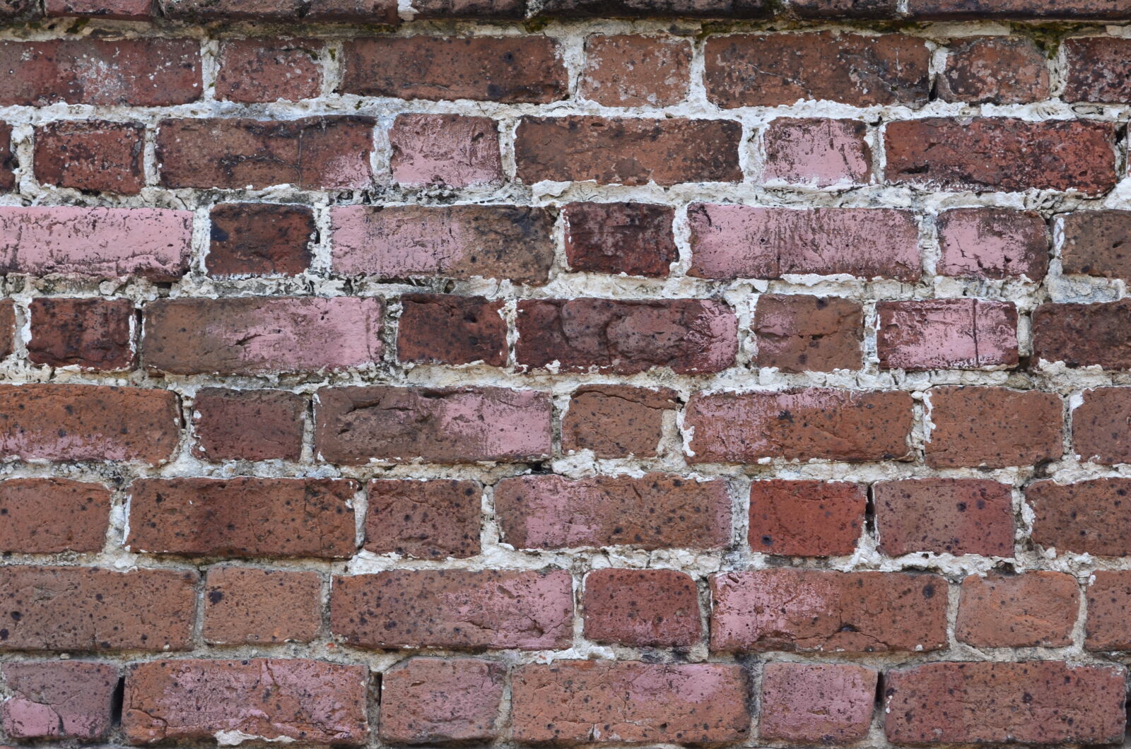 Nikon D5100 sample photo. Brick, texture, brick, wall photography