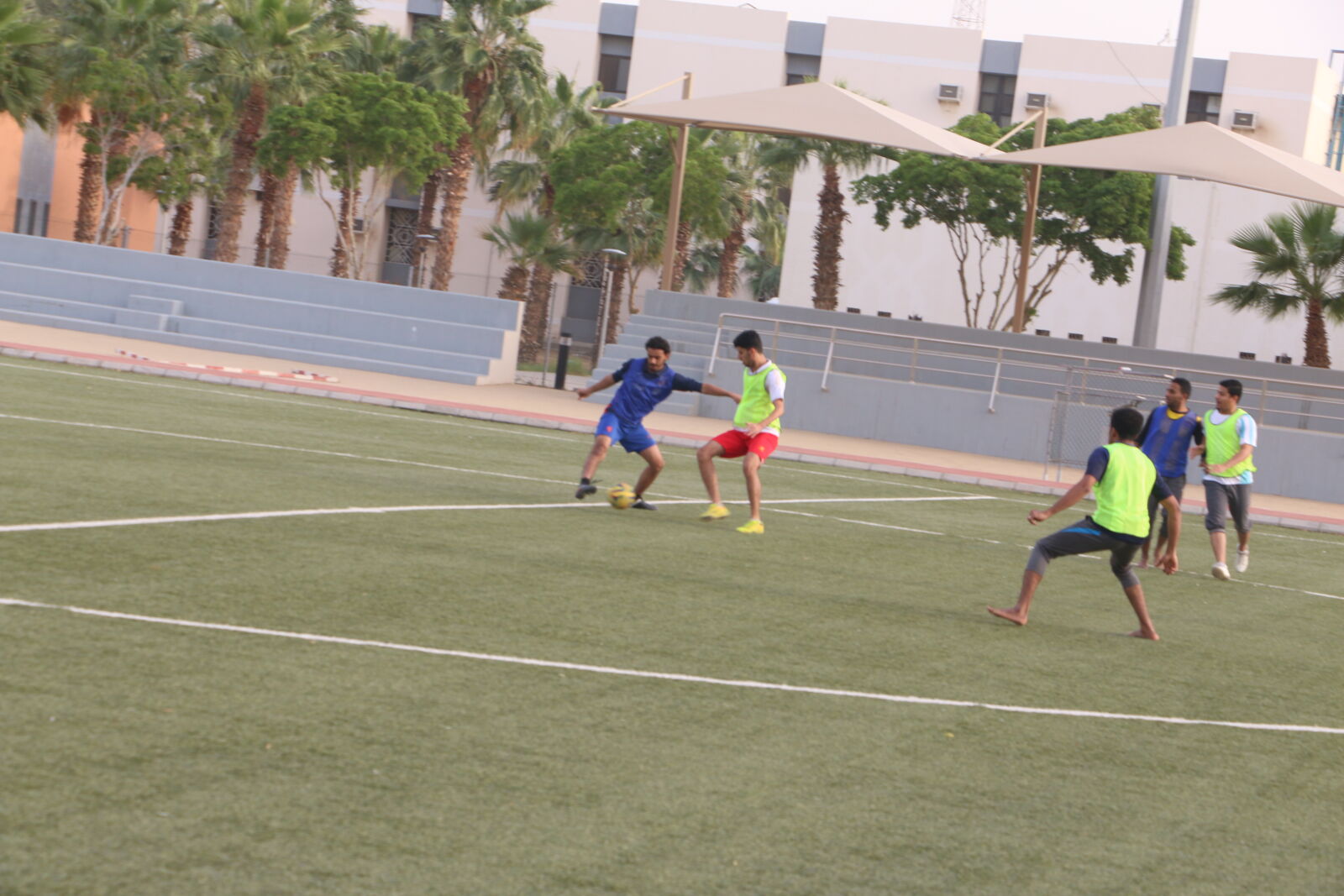 Canon EOS 70D sample photo