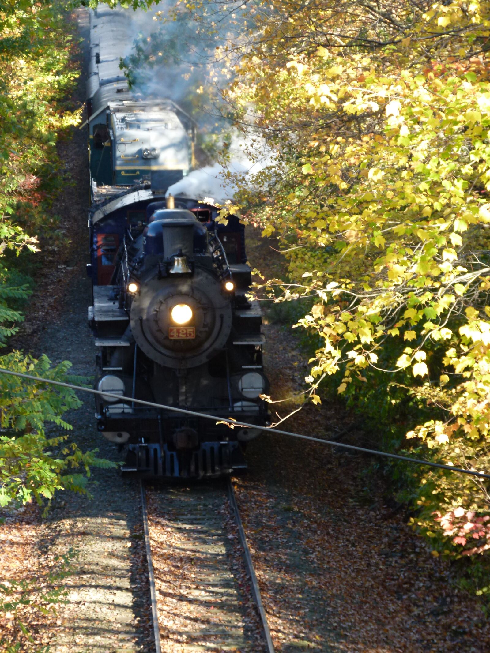 Panasonic Lumix DMC-FZ100 sample photo. Train, steam, steam train photography