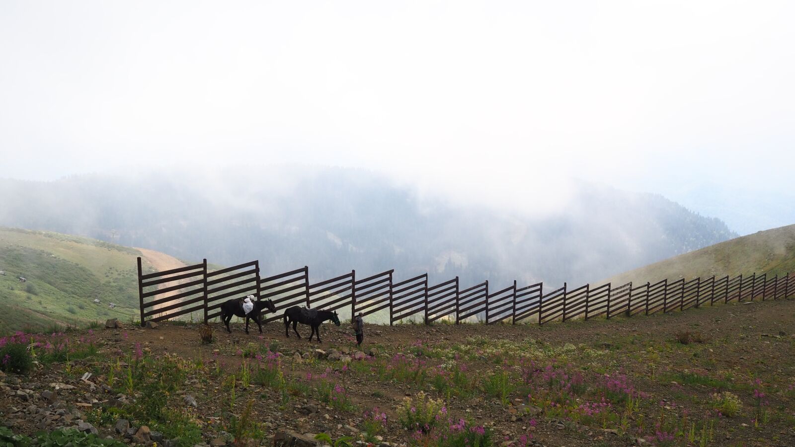 Olympus OM-D E-M10 III + Olympus M.Zuiko Digital 17mm F1.8 sample photo. Mountains, horse, clouds photography