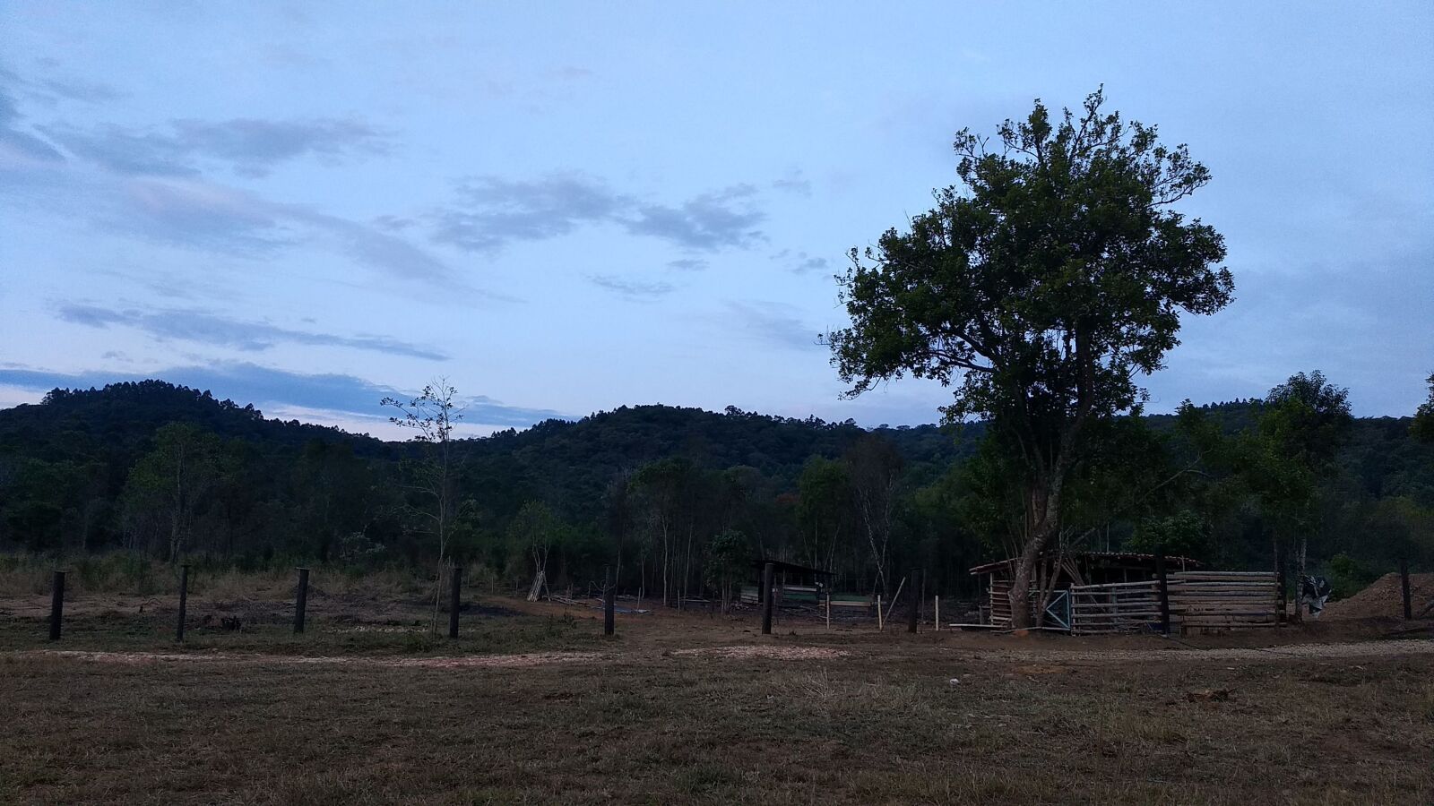 Motorola Moto G (5) Plus sample photo. Site, tree, interior photography