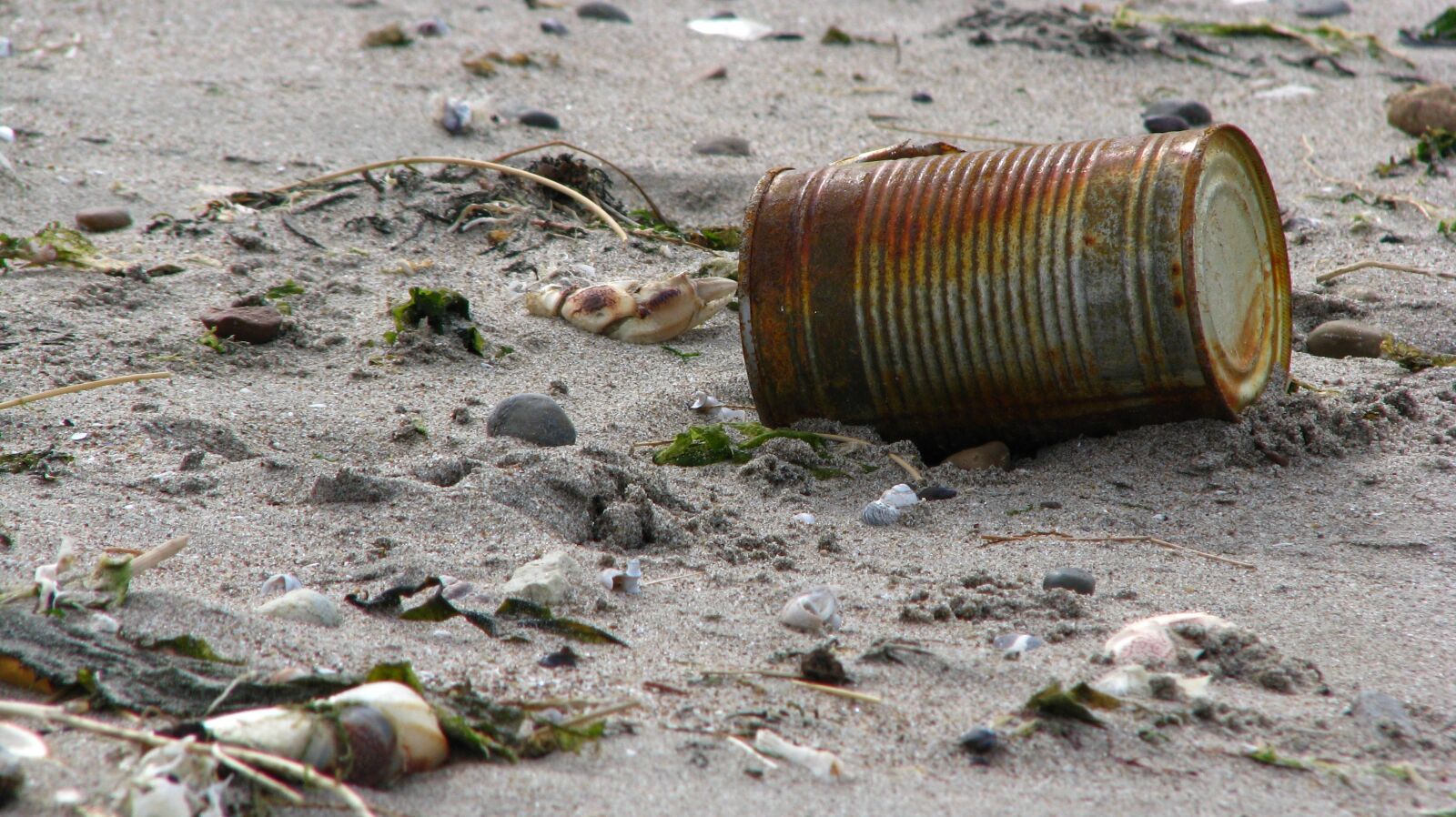 Canon POWERSHOT S5 IS sample photo. Trash, contamination, cleaning photography