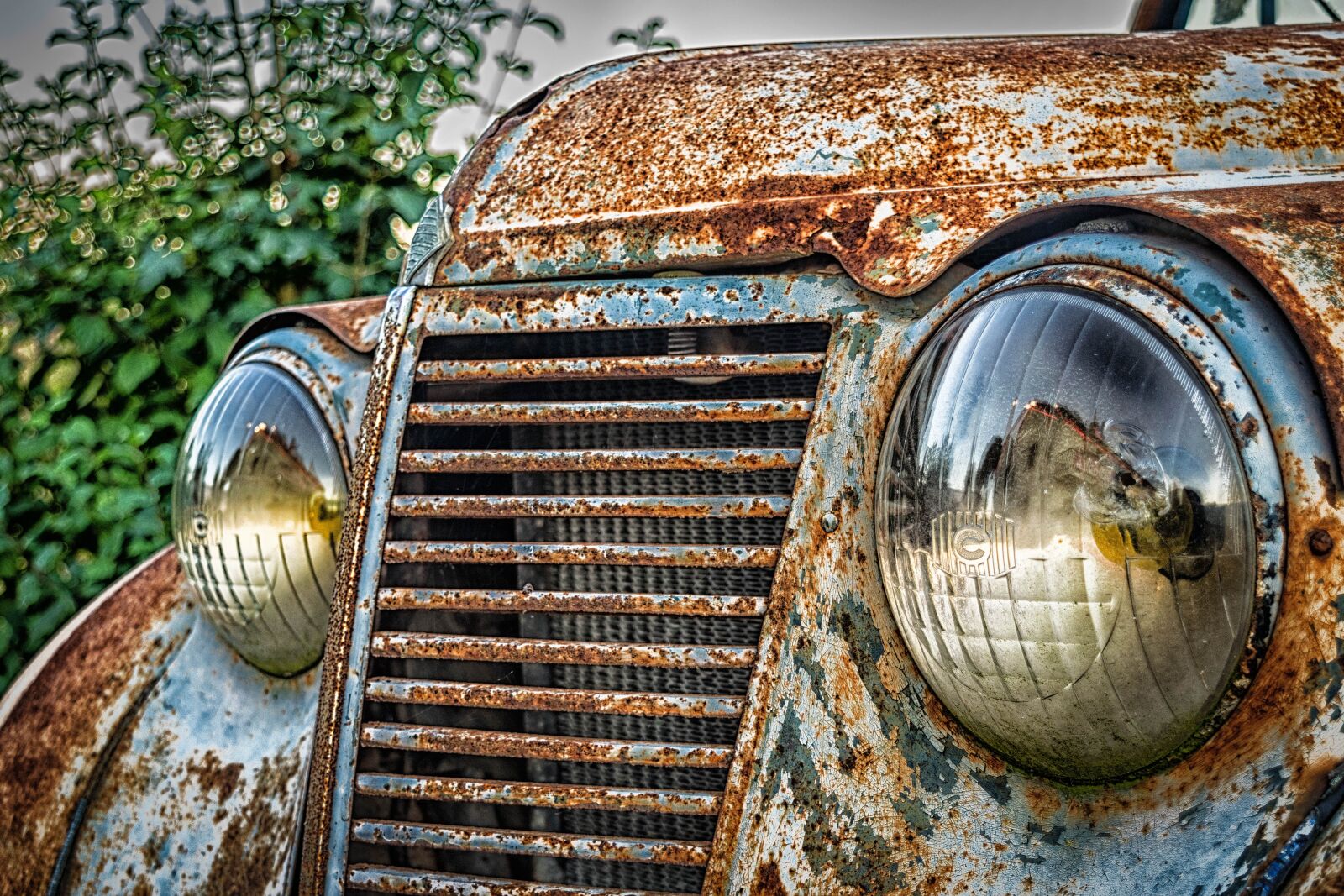 Nikon D3300 sample photo. Auto, front, spotlight photography