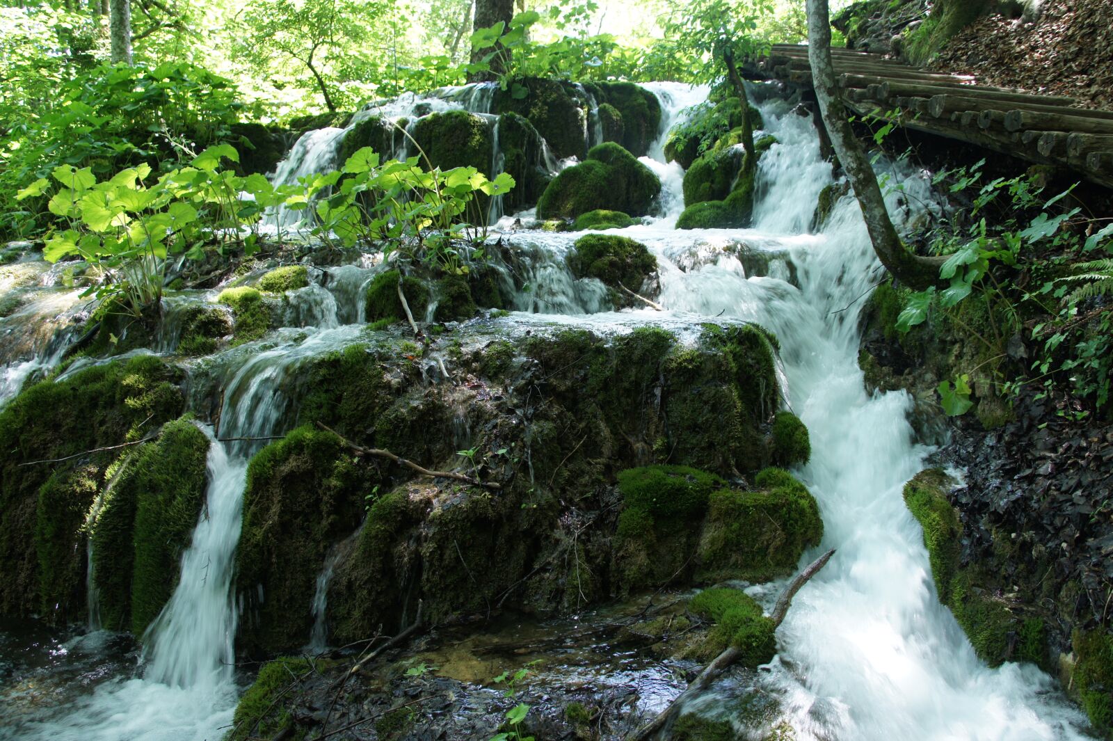 Sony Alpha NEX-3 sample photo. Croatia, lakes, national park photography