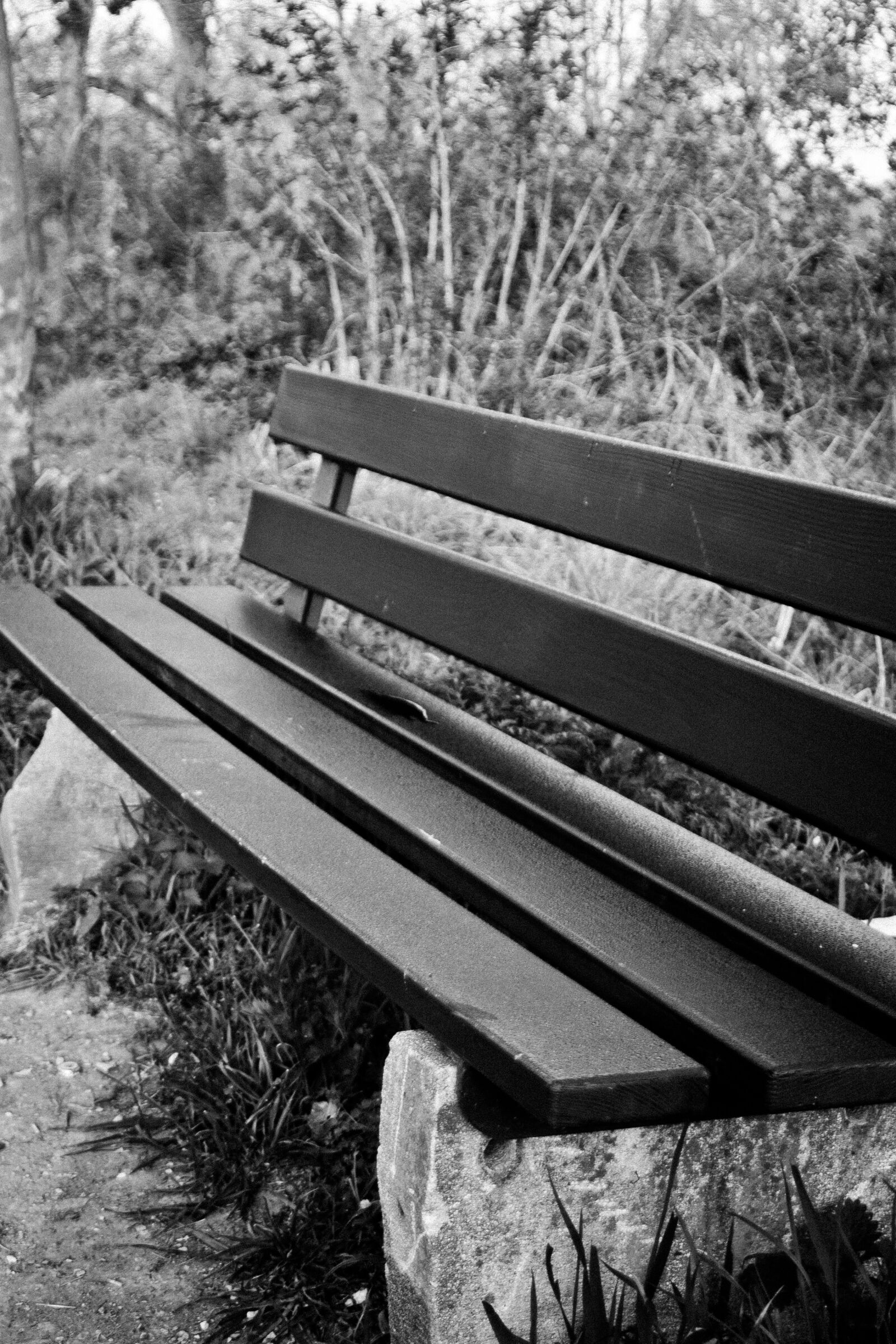 Canon EOS 20D sample photo. Park bench, bank, seat photography