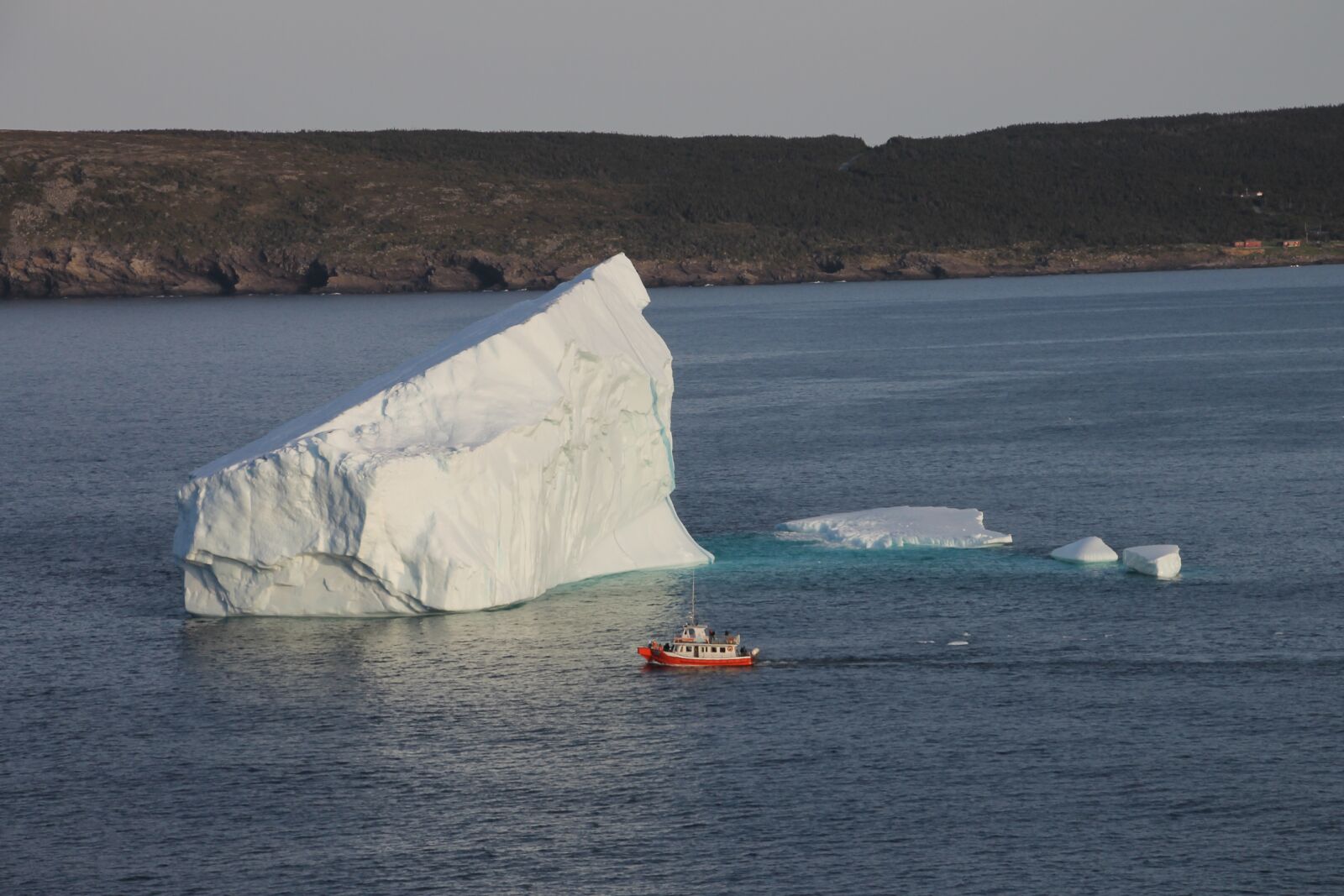 Canon EOS 1100D (EOS Rebel T3 / EOS Kiss X50) sample photo. Iceberg, st john's, newfoundland photography