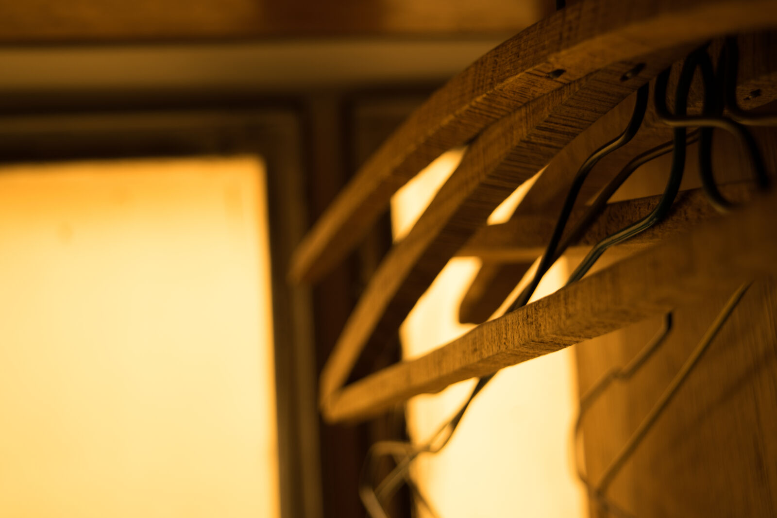 Nikon D3300 sample photo. Blur, close, up, focus photography