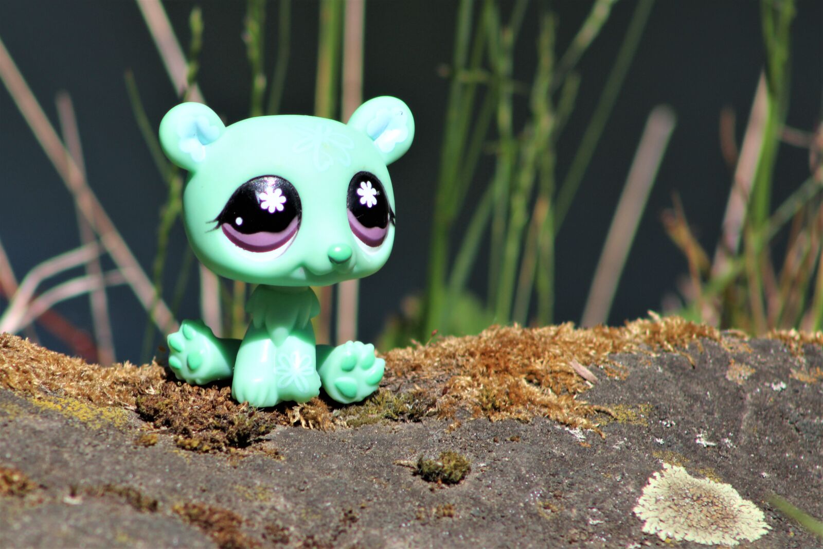 Canon EF75-300mm f/4-5.6 sample photo. Littlest pet shop, toys photography