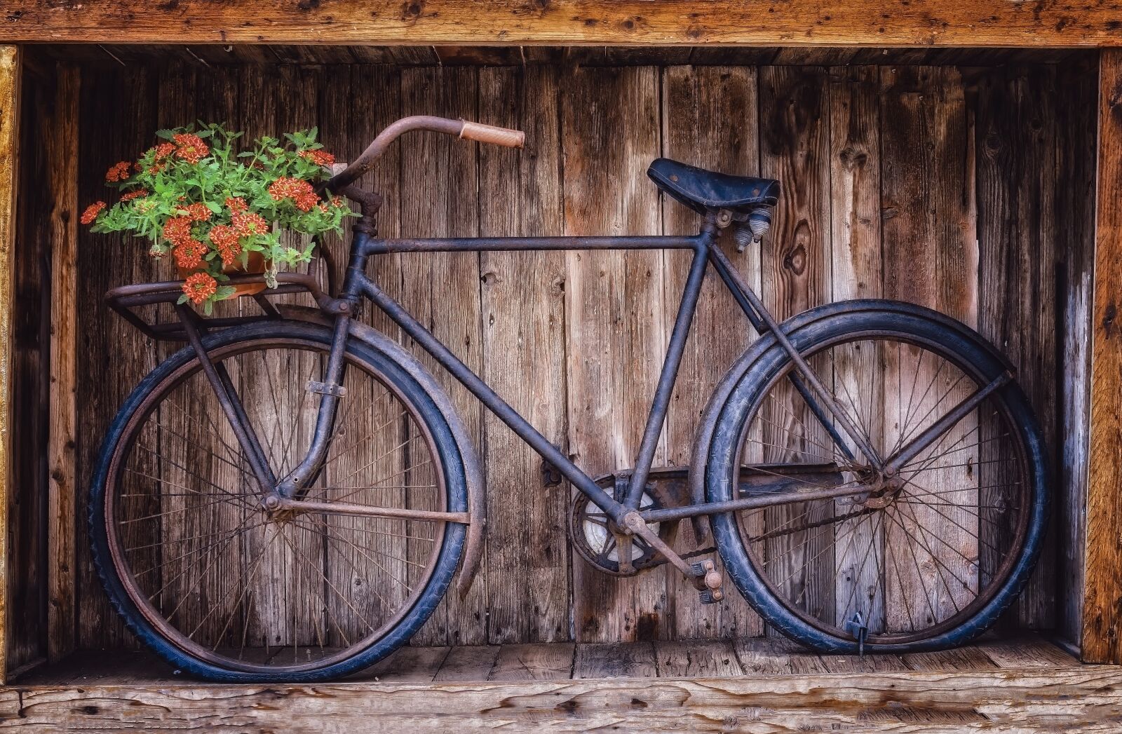 Nikon D3300 sample photo. Bike, two wheeled vehicle photography