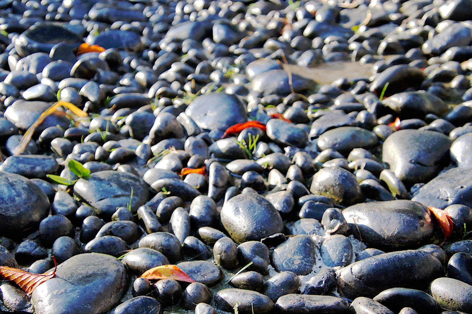Canon EOS 800D (EOS Rebel T7i / EOS Kiss X9i) sample photo. Pebble, garden, landscape photography