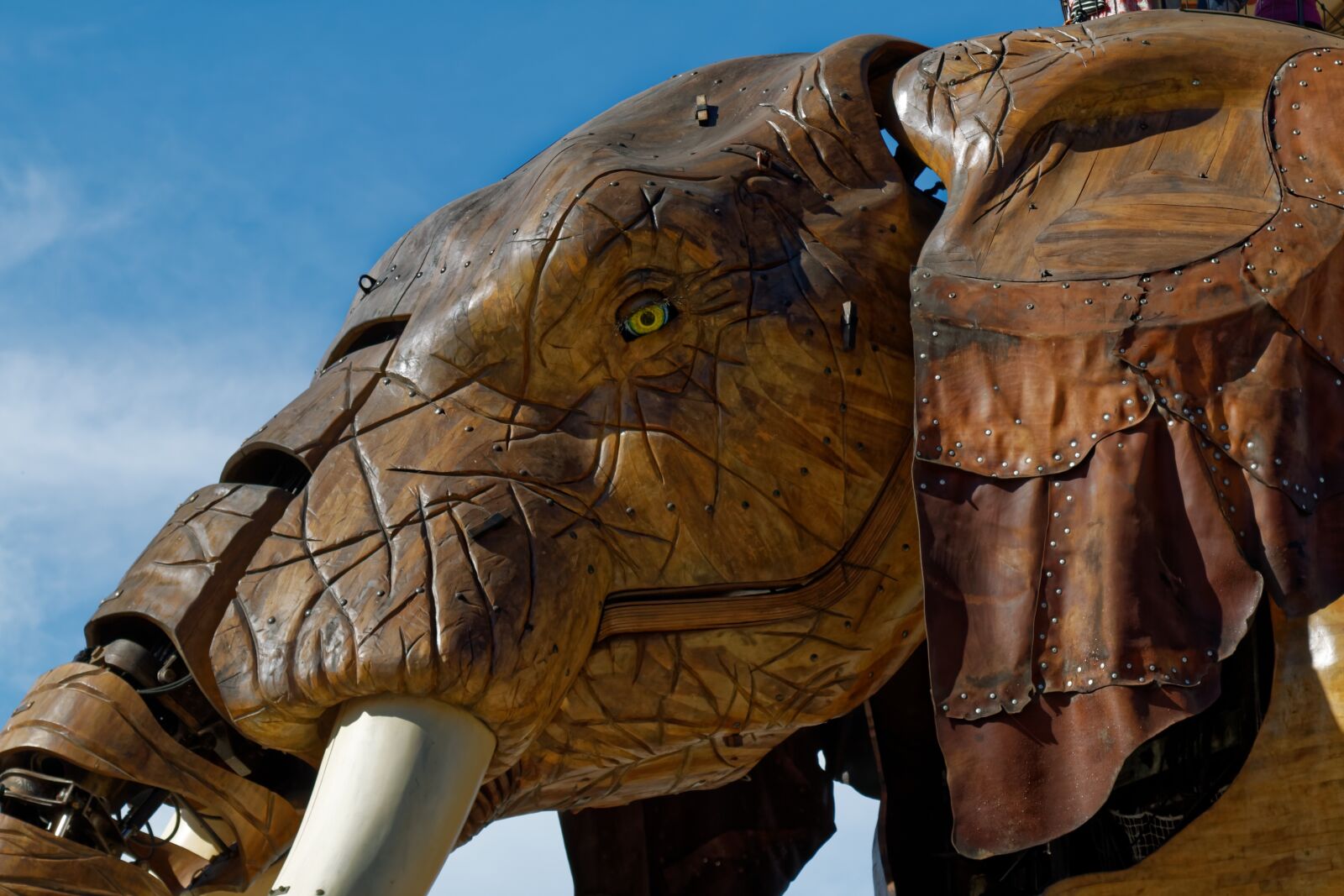 Canon EOS 70D sample photo. Elephant, nantes, giant photography