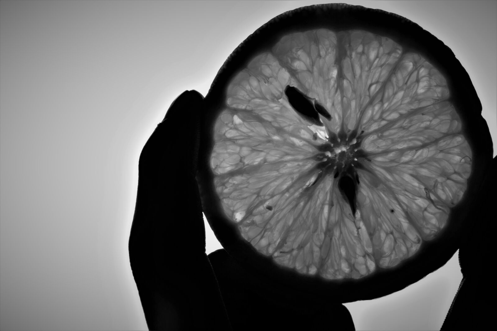 Nikon D7100 sample photo. Monochrome, food, lime photography